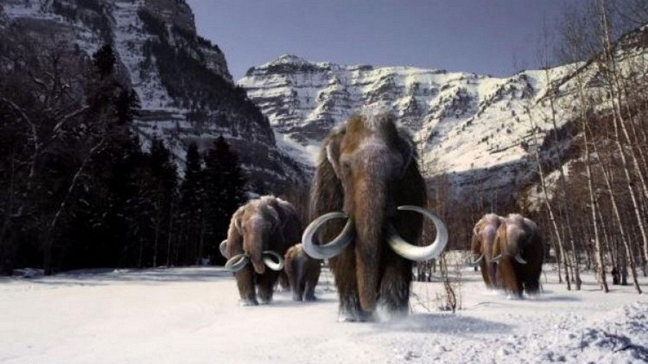 The Mammoth. Titan of the Ice Age Backdrop