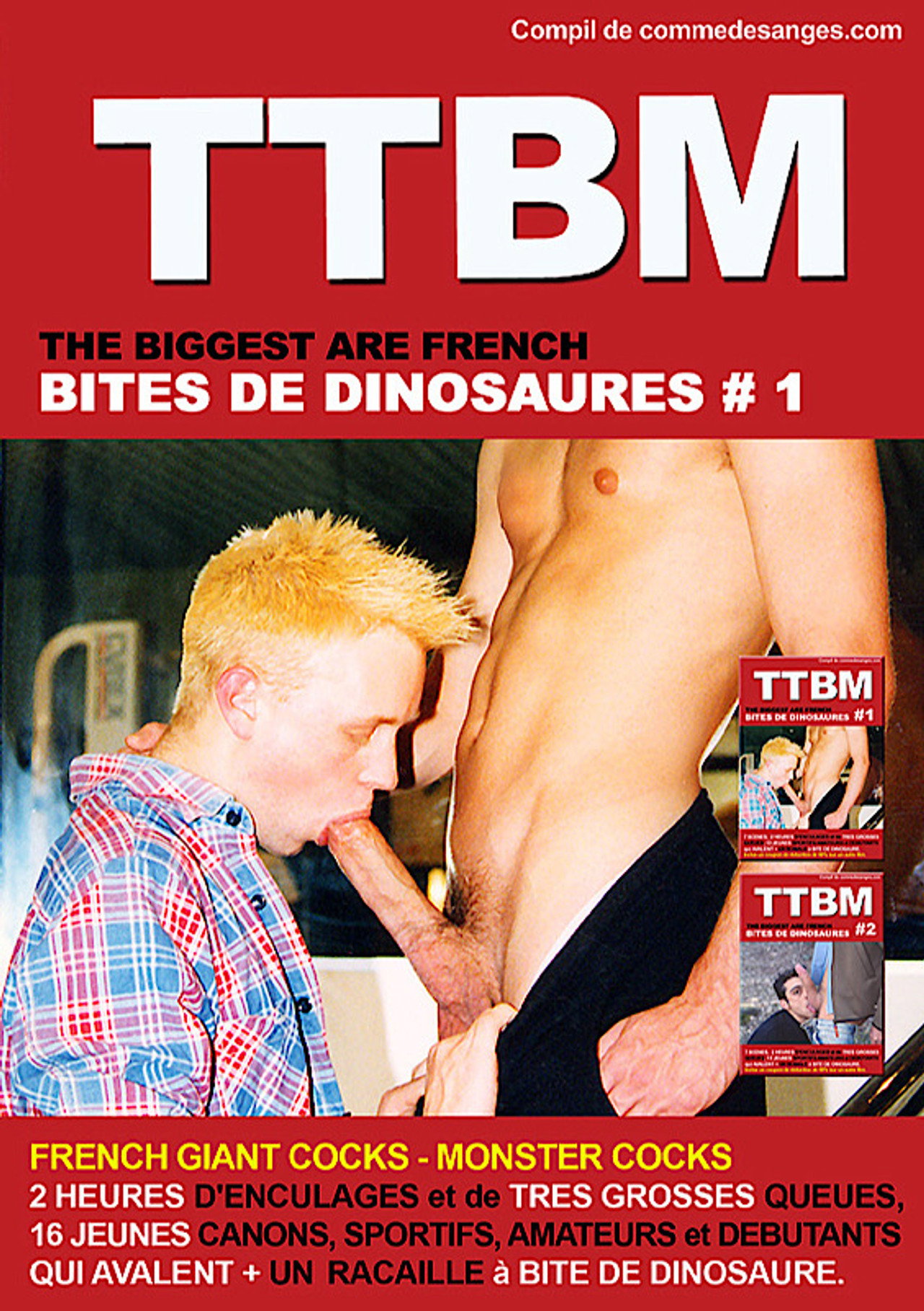 Dinosaur Dicks 1
