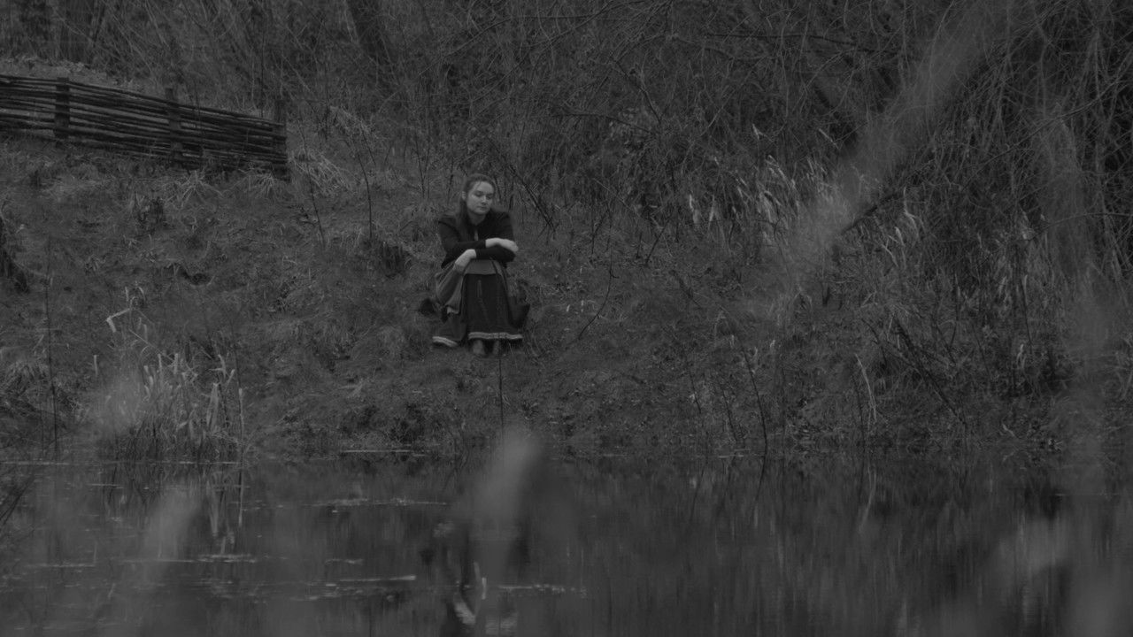 When the Crows Went Wild