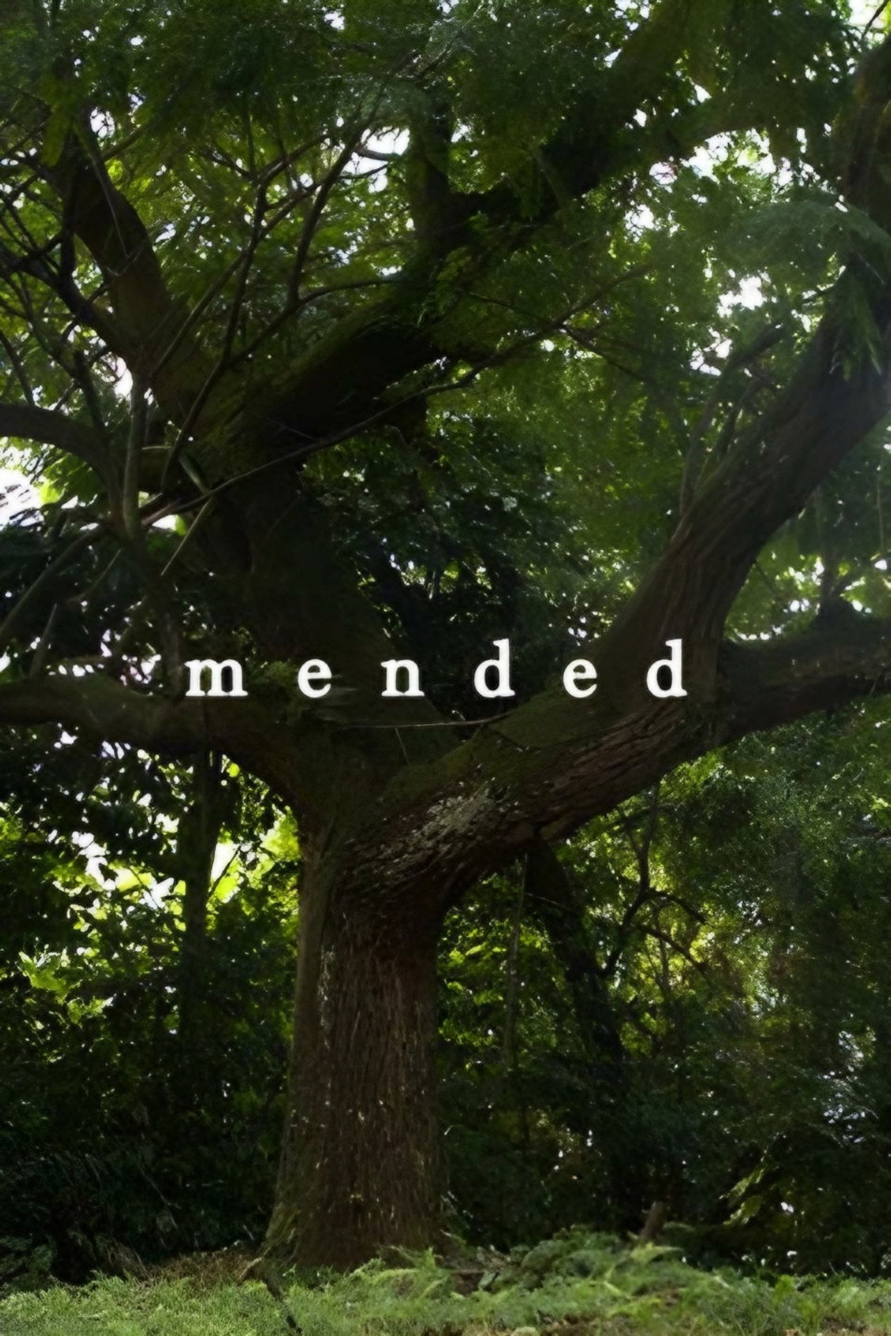Mended filmaffisch