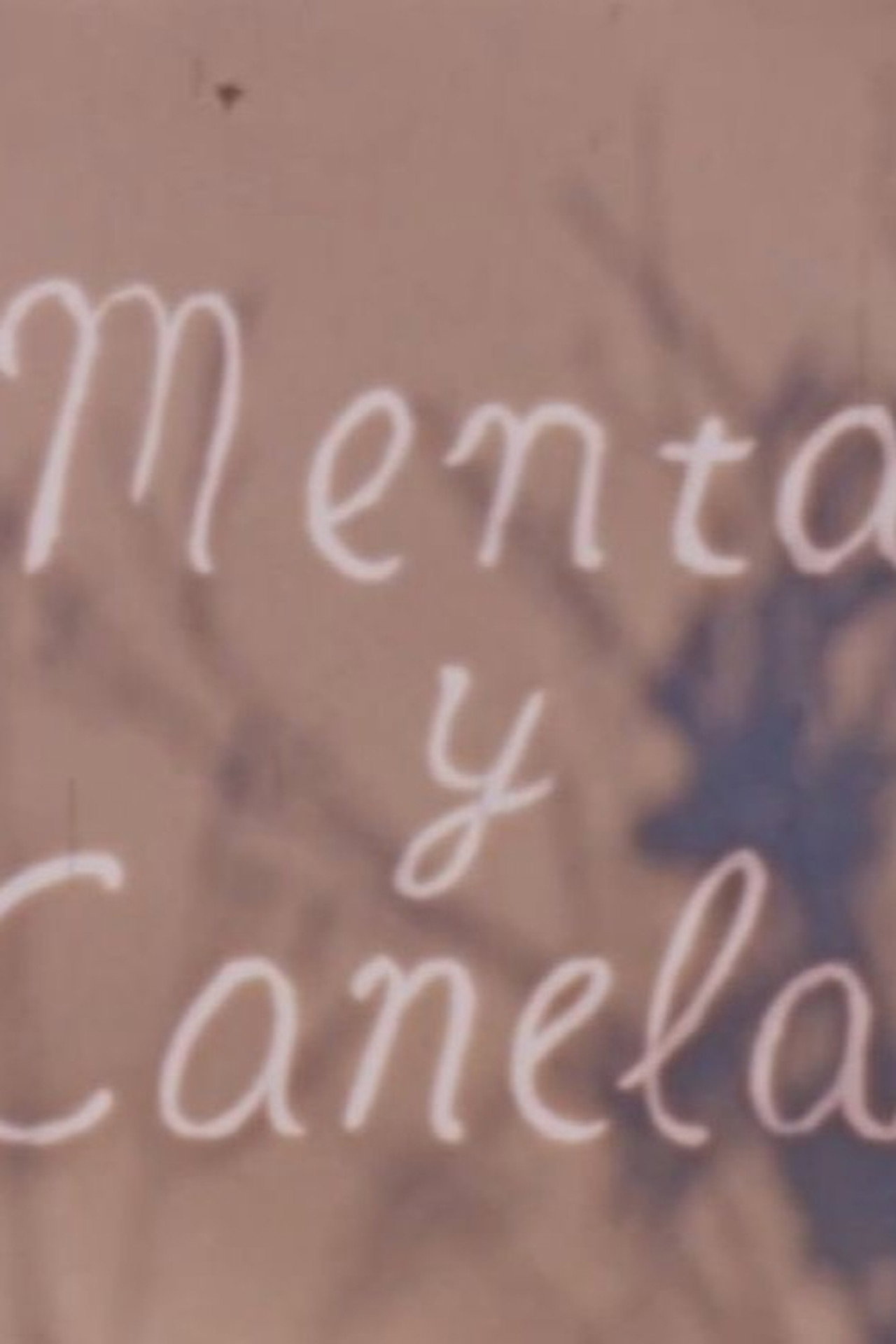 Menta y canela