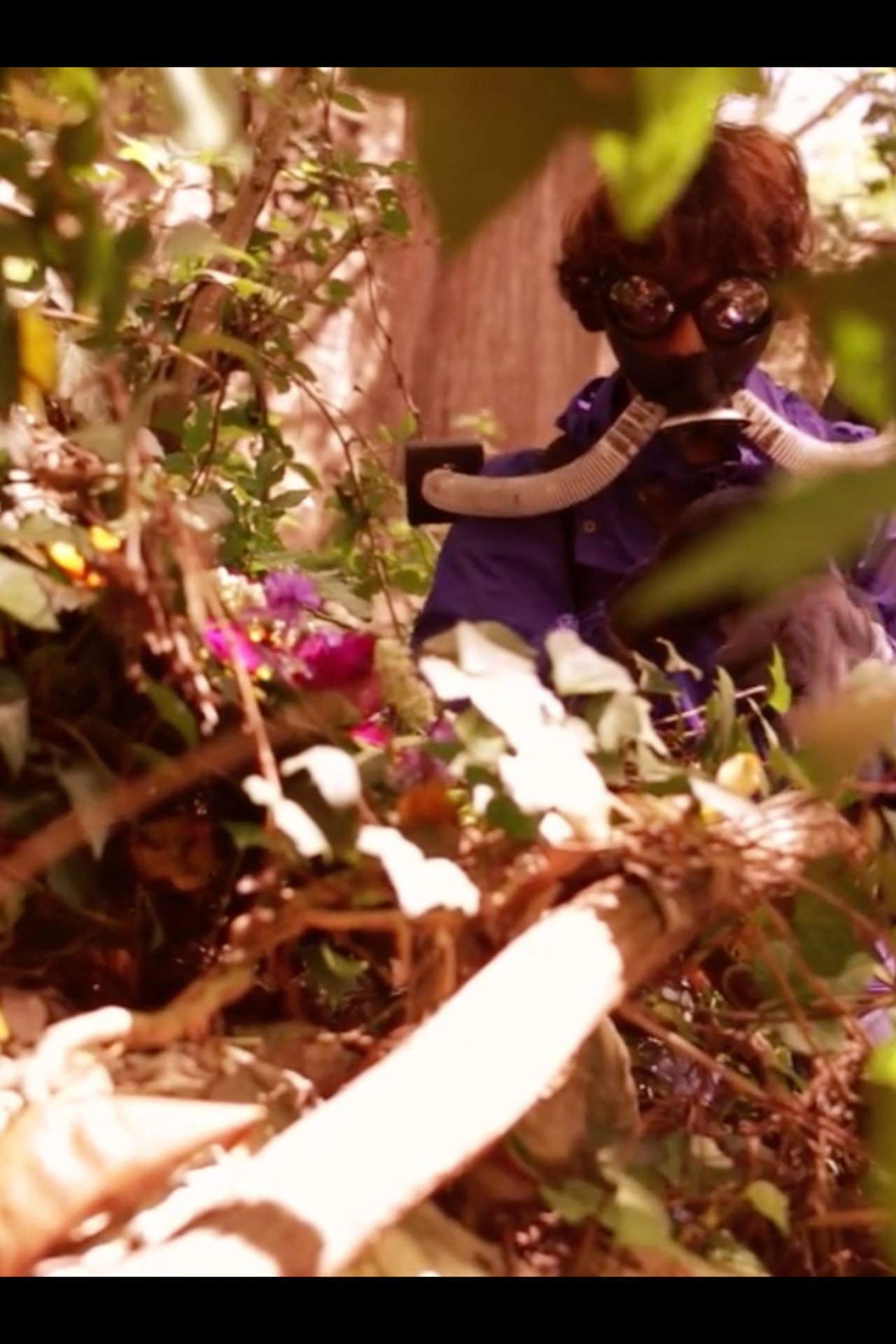Pasithea's Bloom filmaffisch