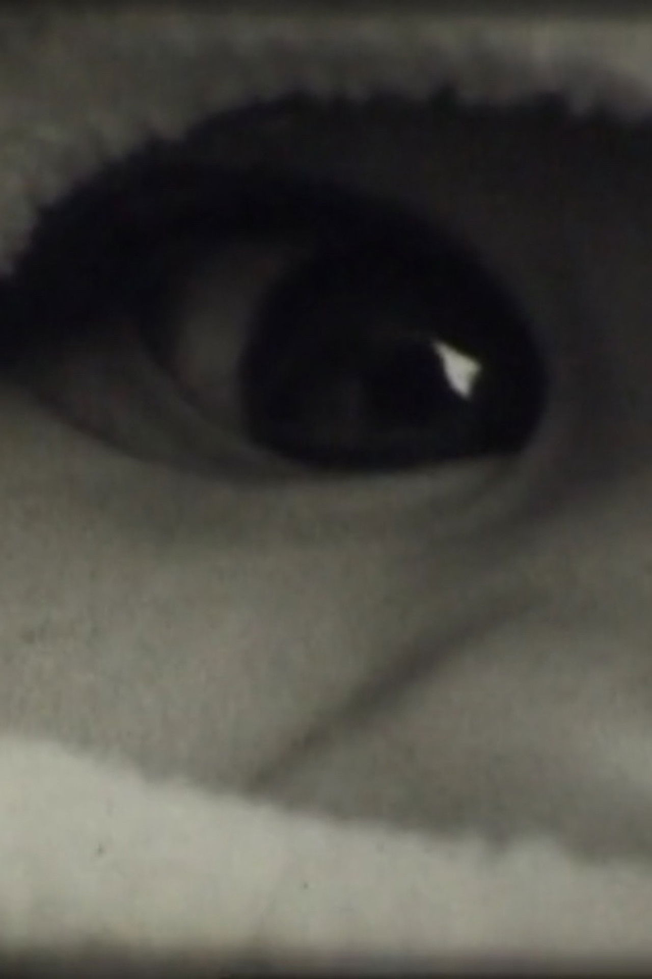 Le Corps Humain Backdrop