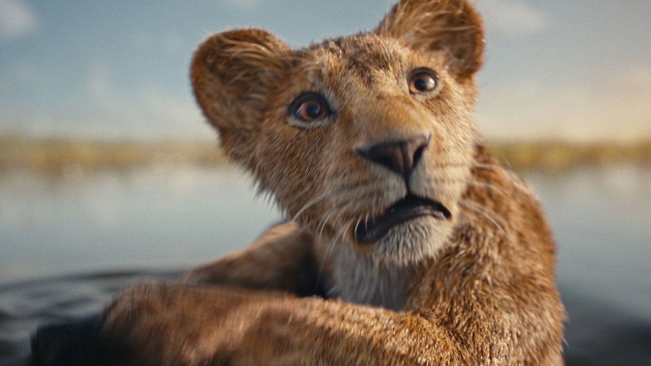 Mufasa: The Lion King (2024) Hindi Dubbed AMZN backdrop