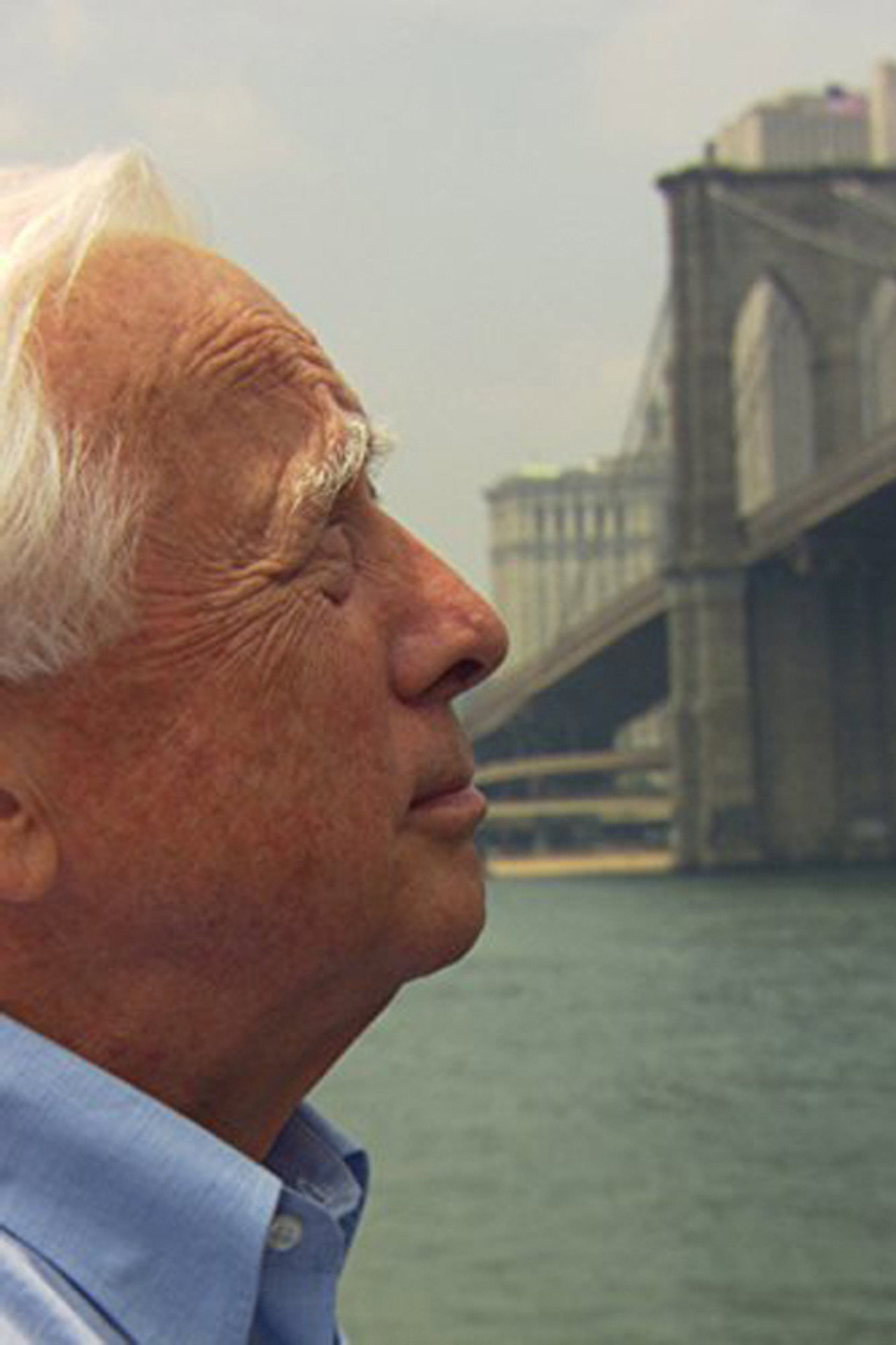 David McCullough: A szavak festője – plakát 3