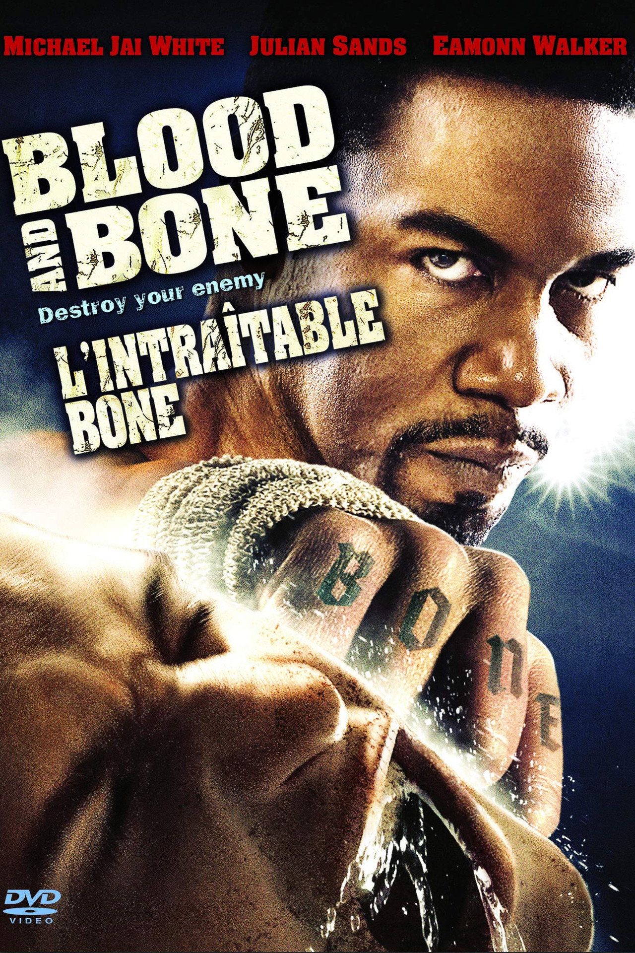 Blood and Bone poster