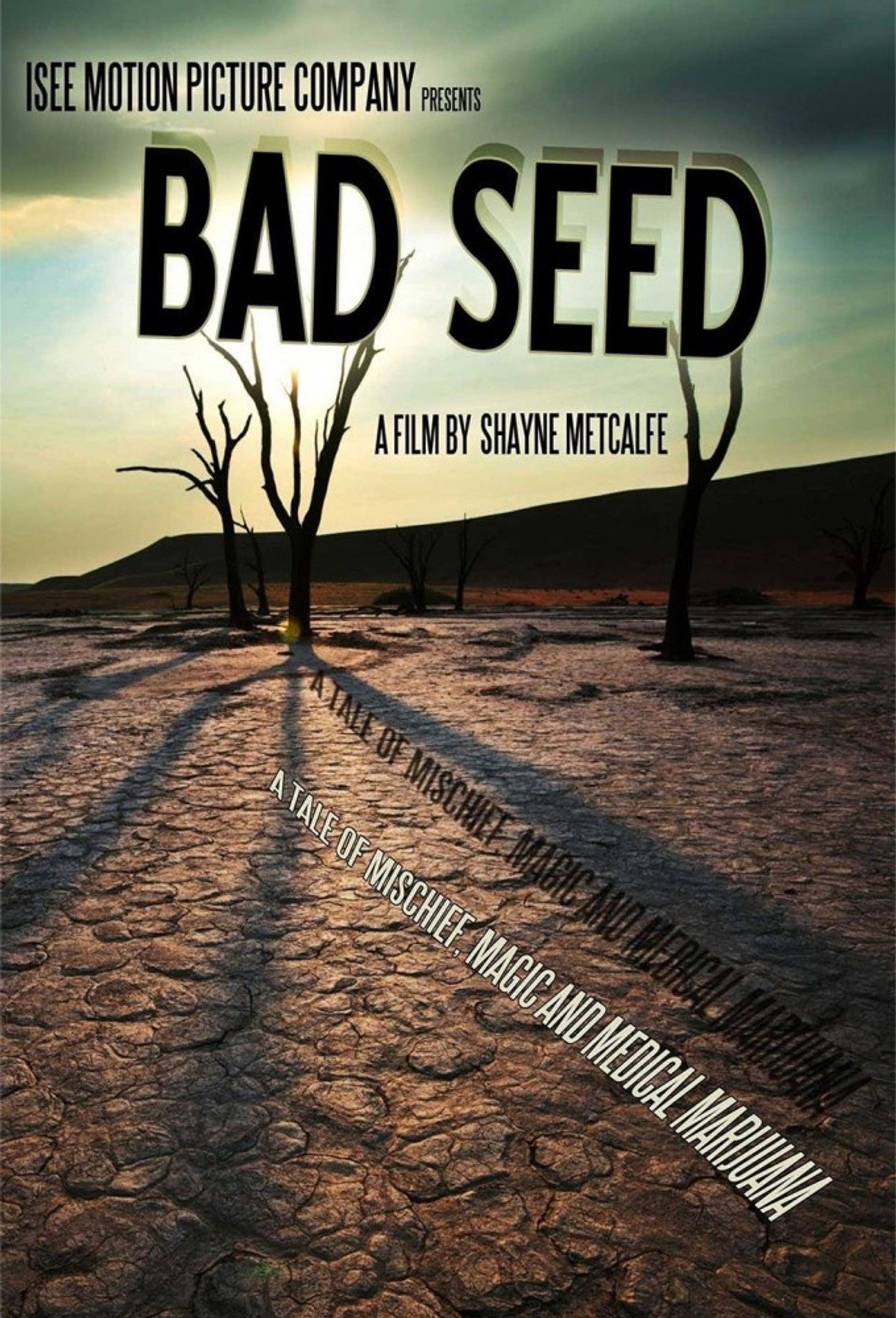 Bad Seed: A Tale of Mischief, Magic, and Medical Marijuana filmaffisch