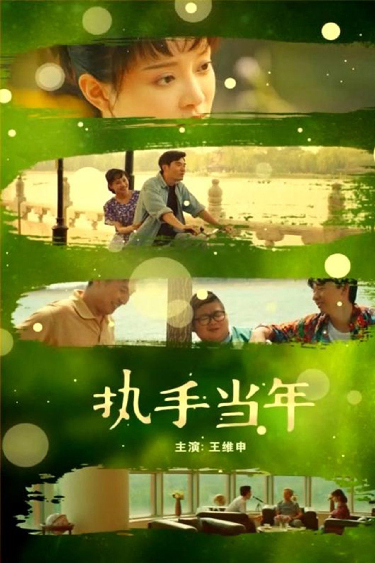 执手当年 filmaffisch
