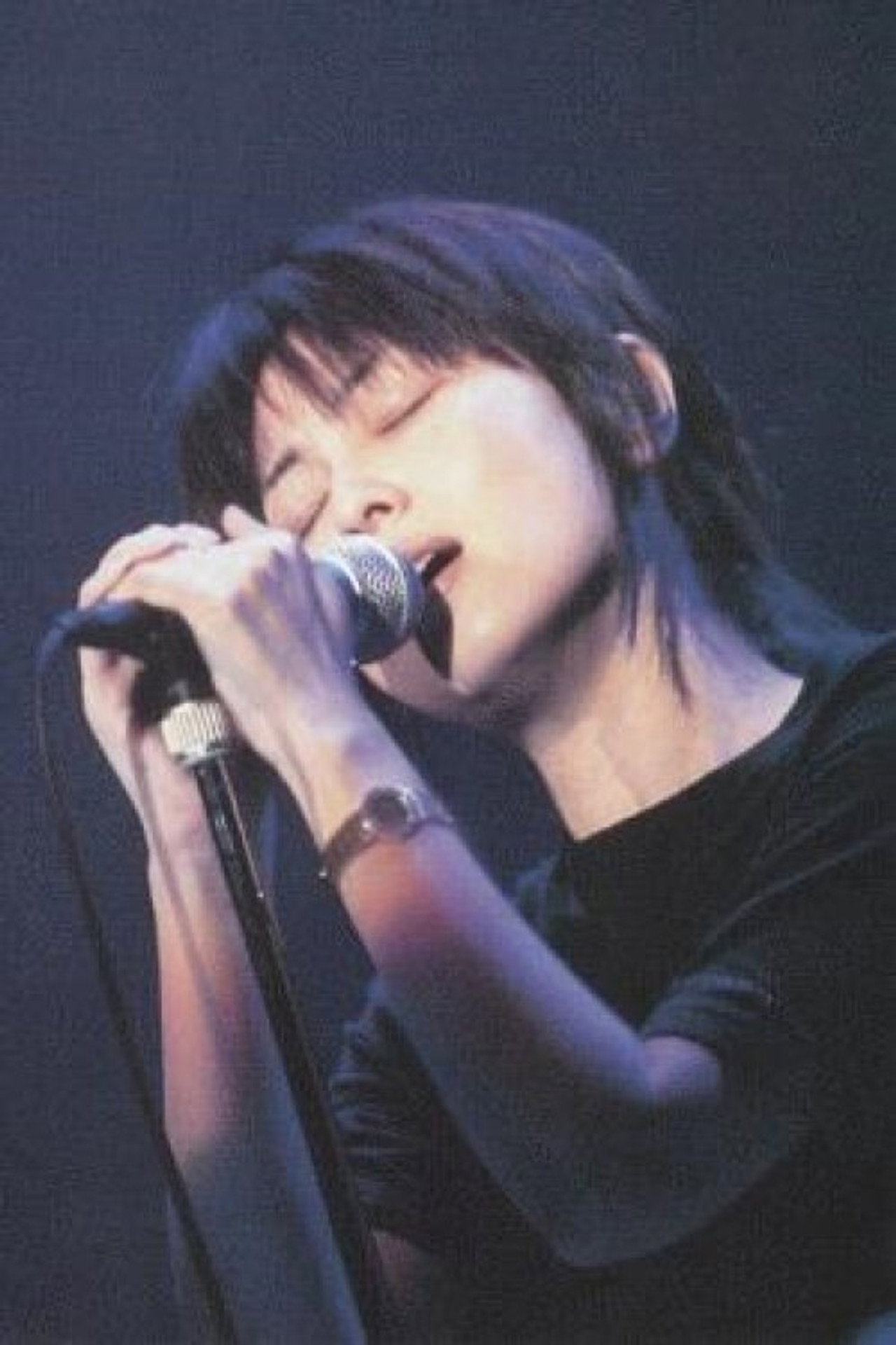 ZARD 25周年纪念演唱会 Backdrop