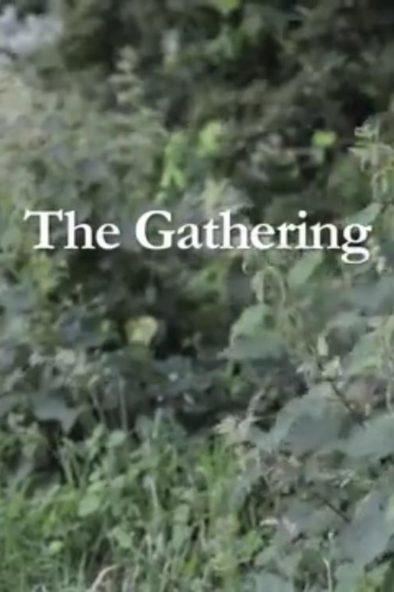 The Gathering Backdrop