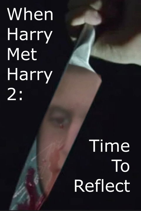 When Harry Met Harry 2: Time To Reflect poster