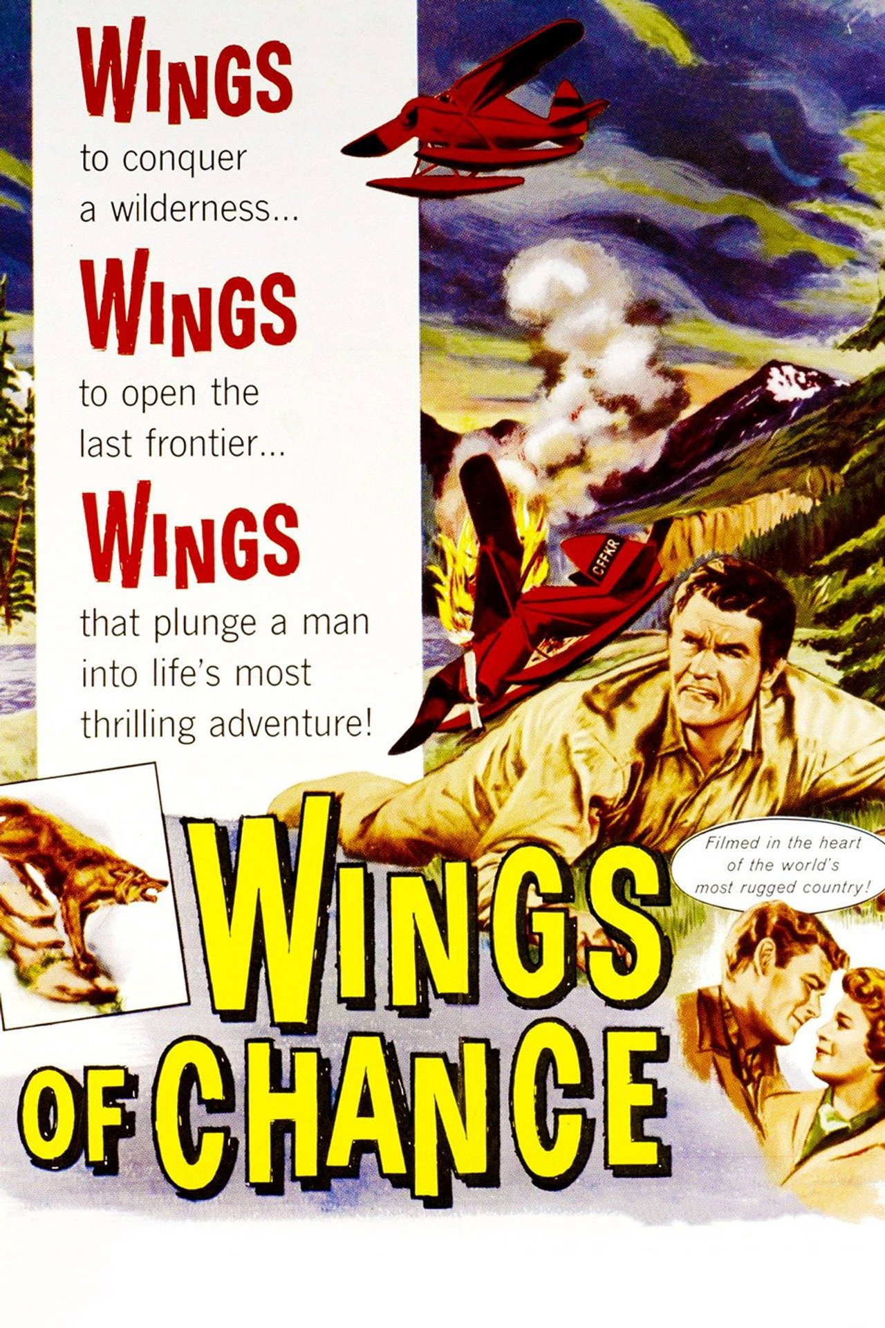 Wings of Chance filmaffisch