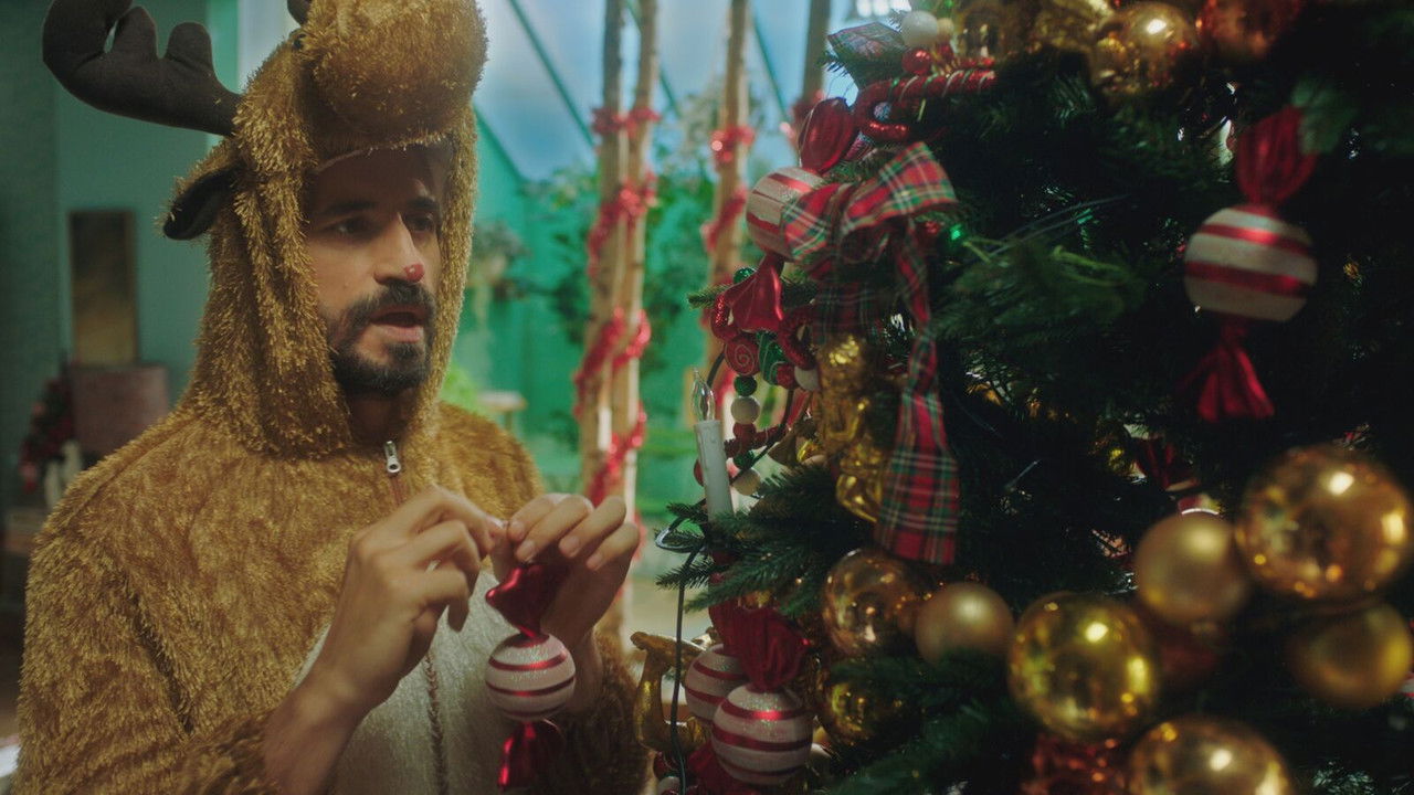 De Hoppers — Épisode 14