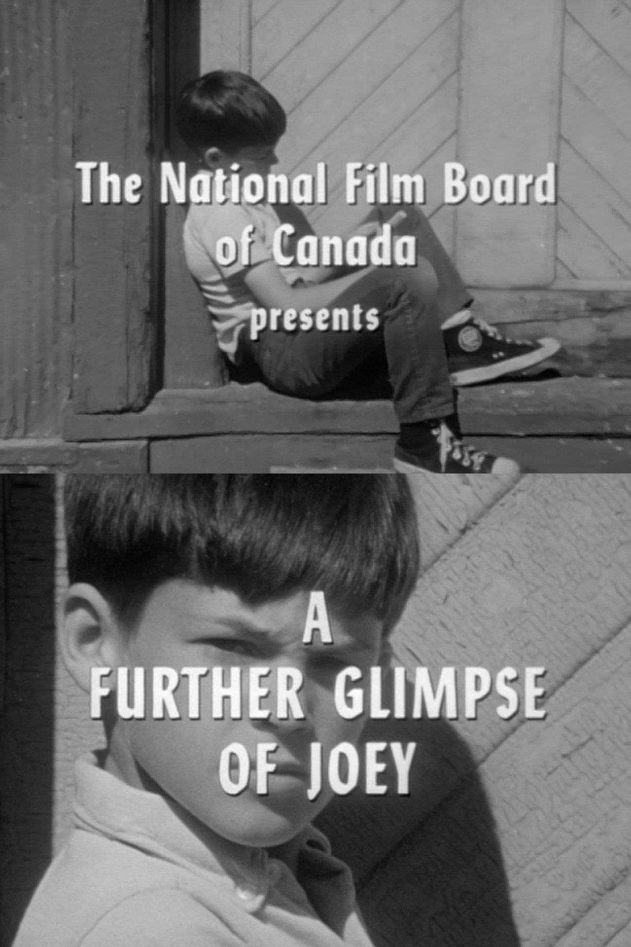 A Further Glimpse of Joey A Further Glimpse of Joey