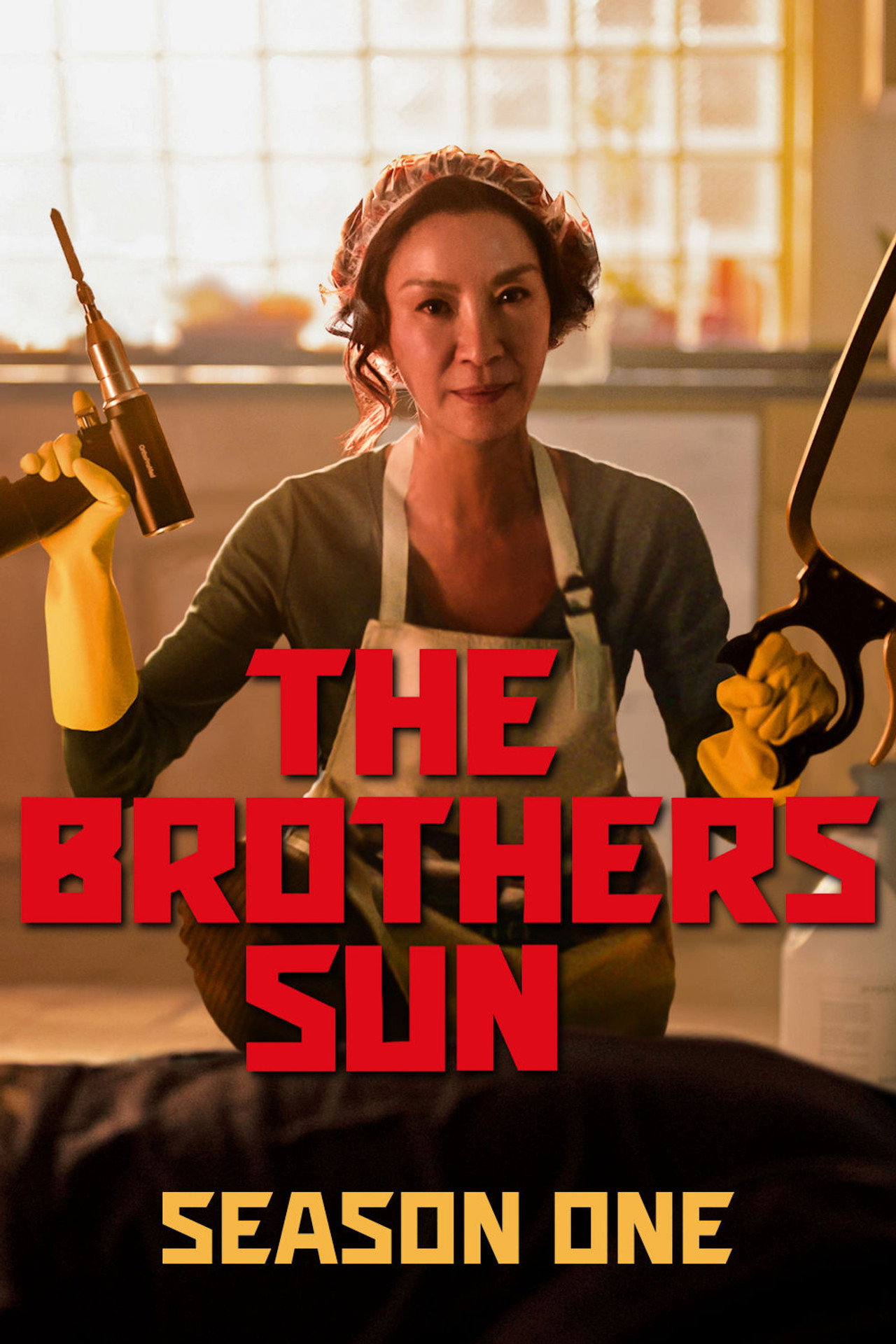 The Brothers Sun (2024) Hindi Season 1 Complete Netflix backdrop