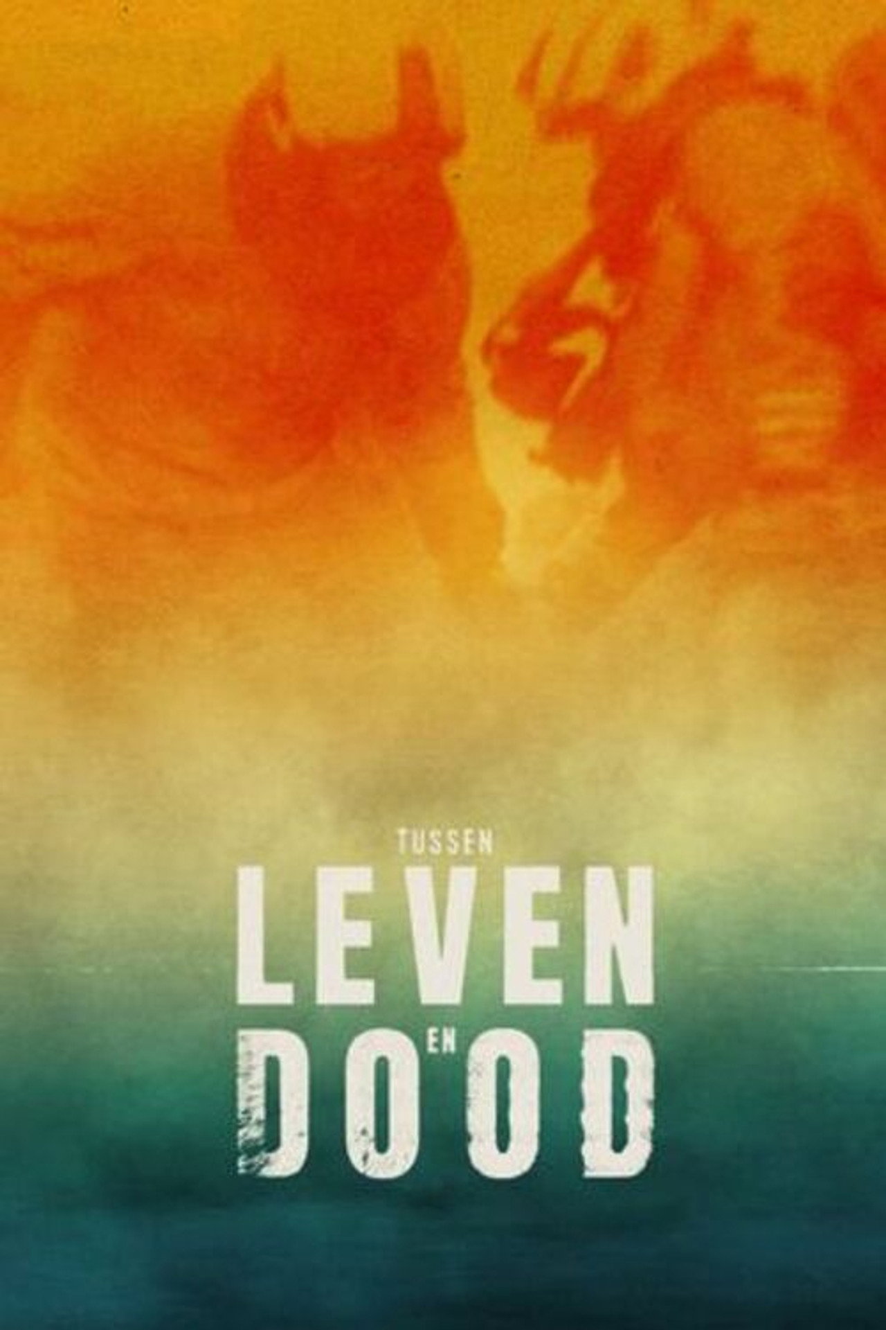 Tussen Leven en Dood affisch