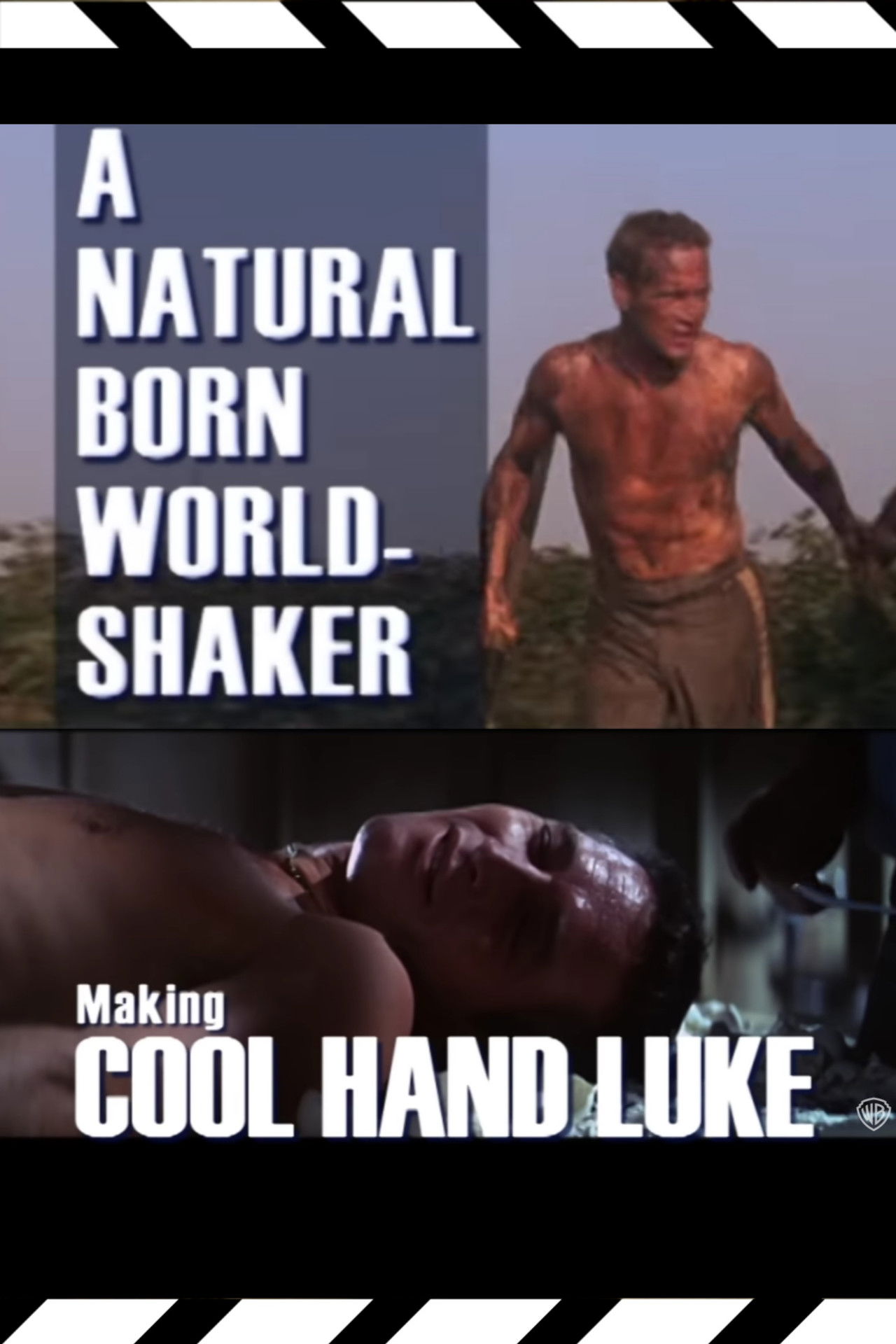 A Natural Born World-Shaker: The Making of 'Cool Hand Luke' Backdrop