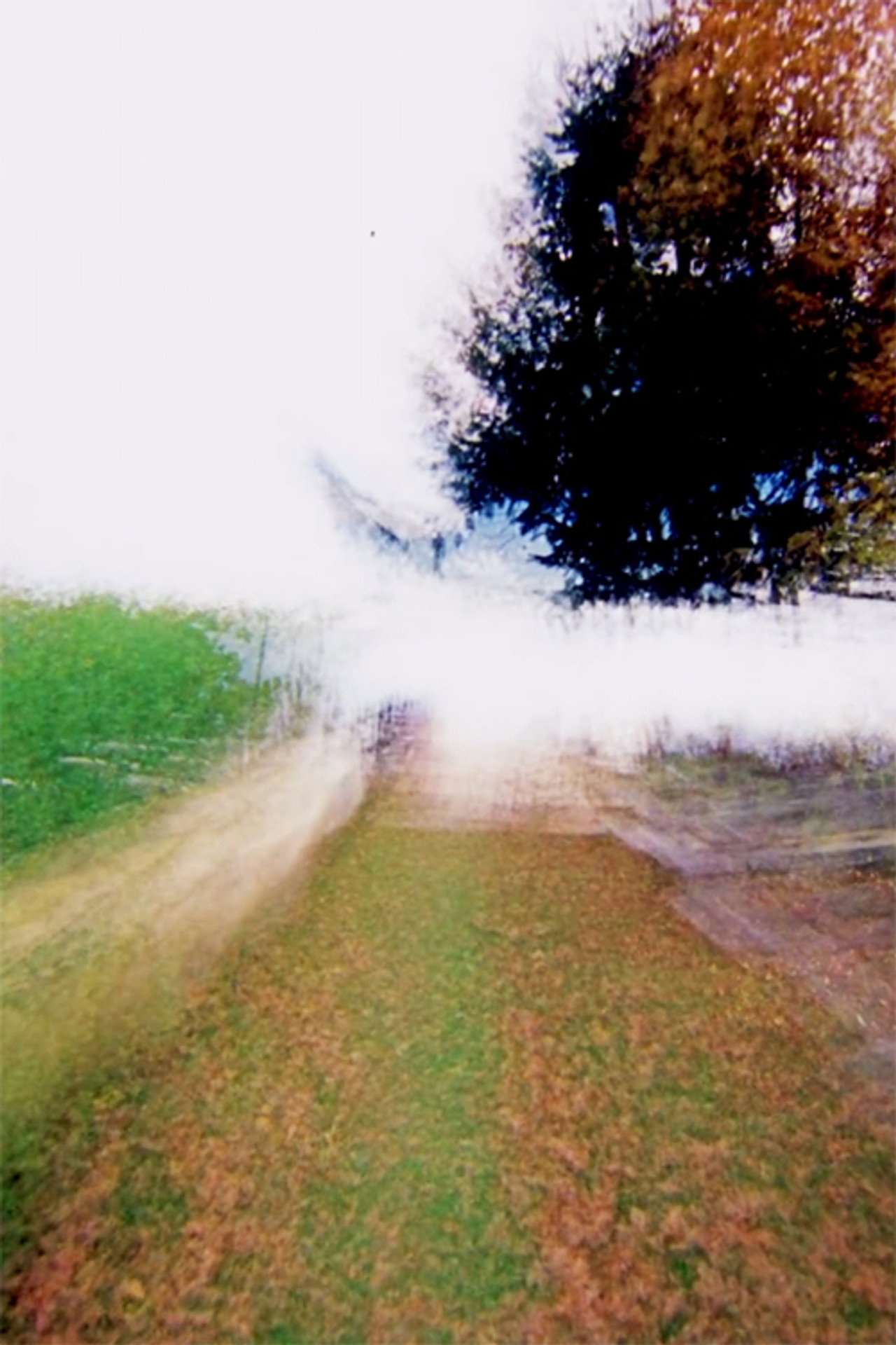 Brouillard #15 filmaffisch