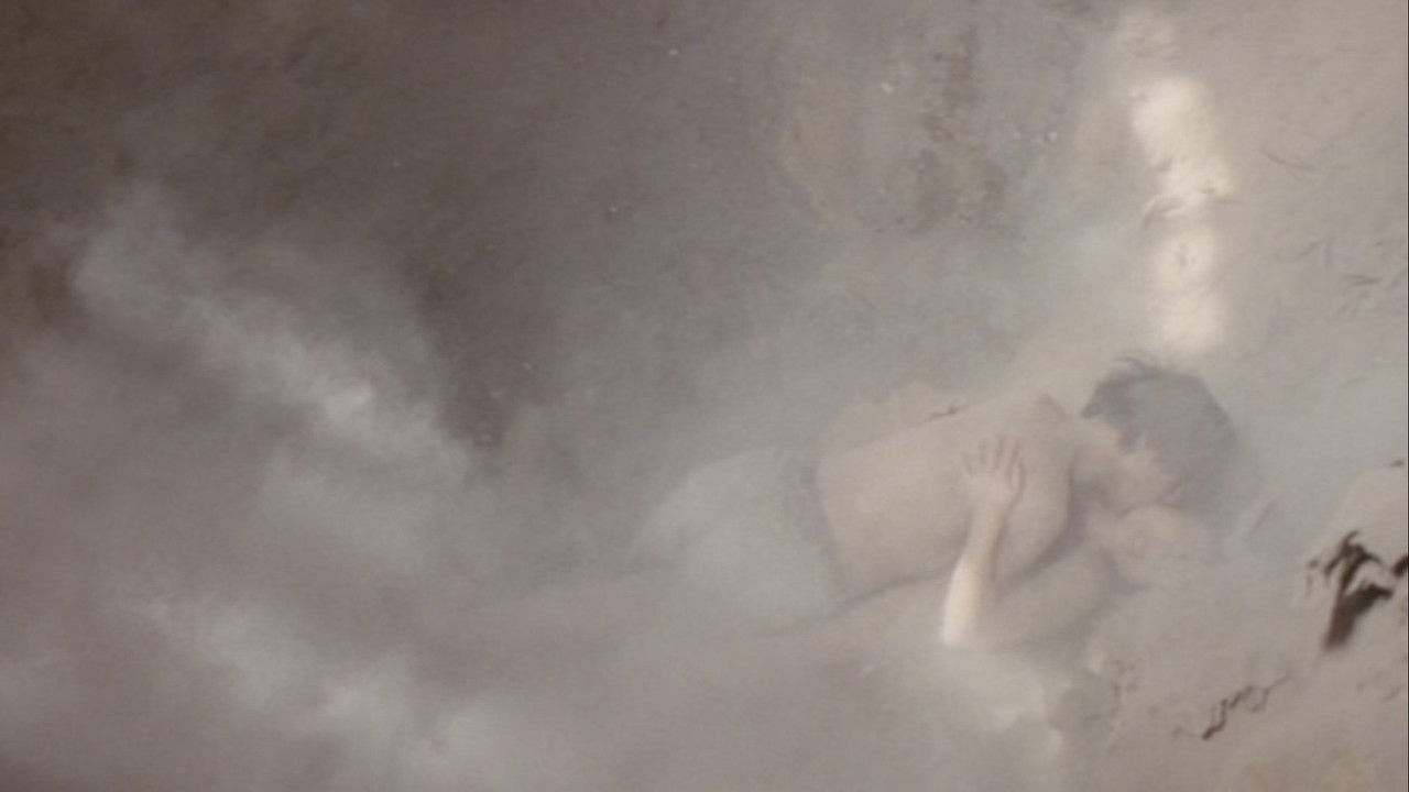 Zoom Up: The Beaver Book Girl backdrop