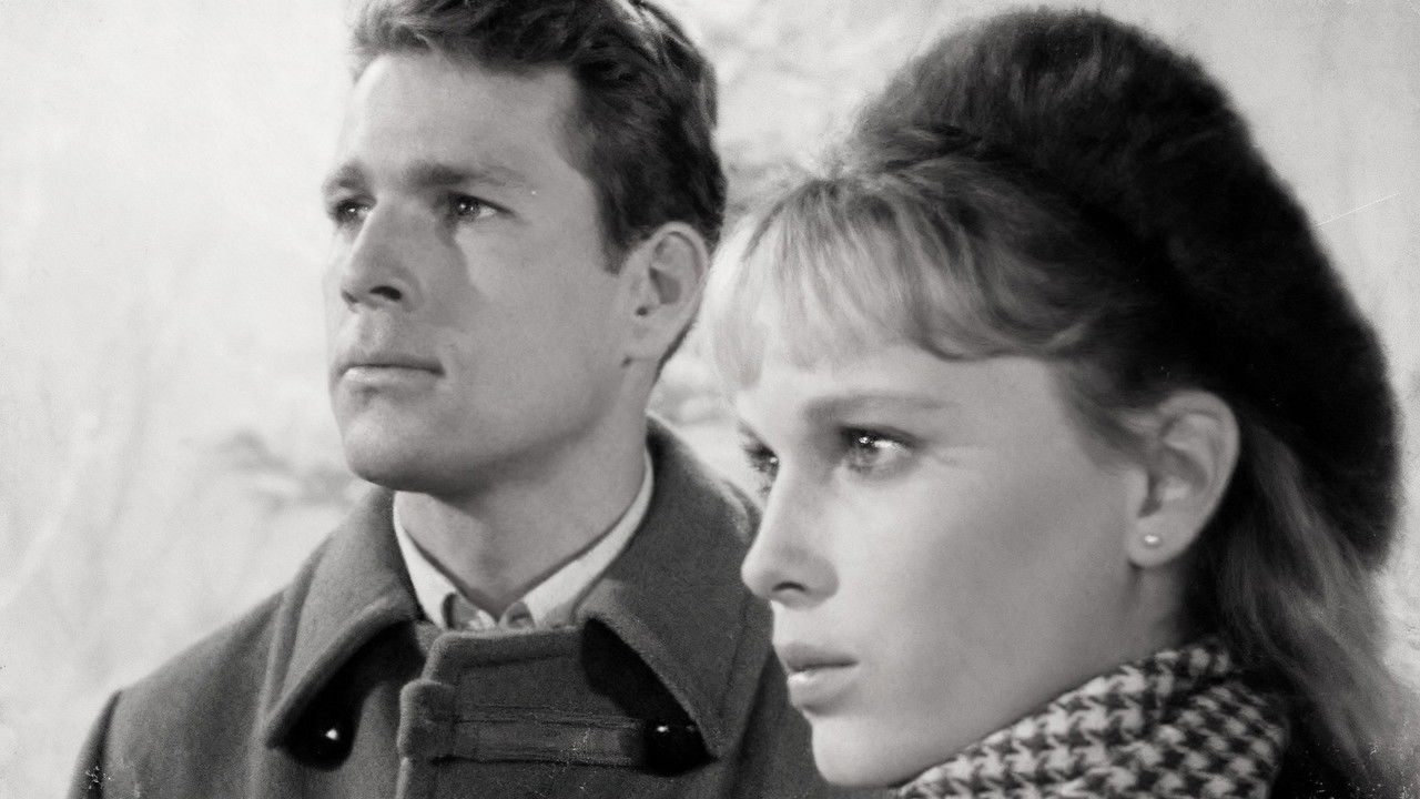 Peyton Place — Épisode 32