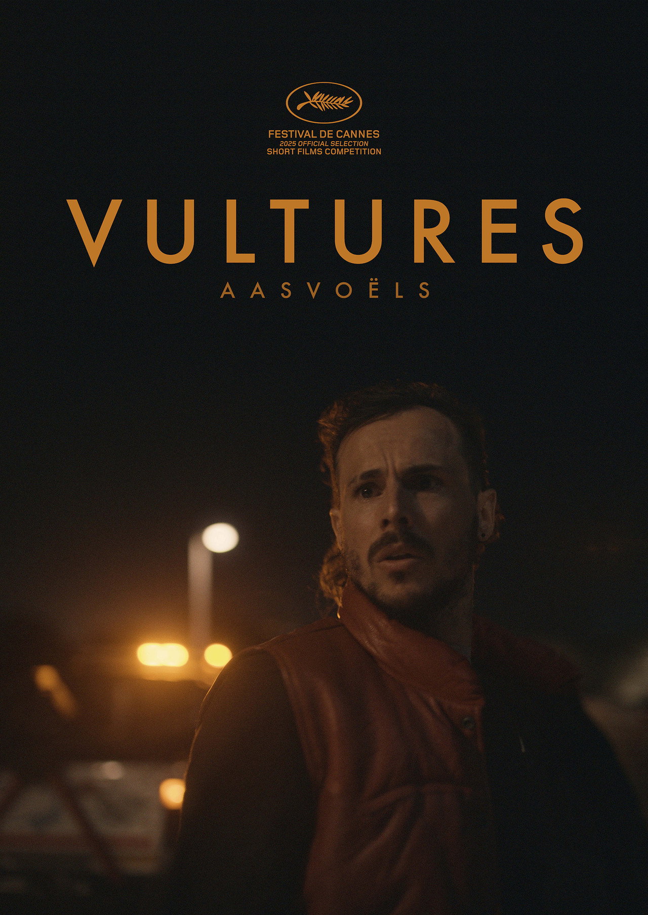 Aasvoëls filmaffisch