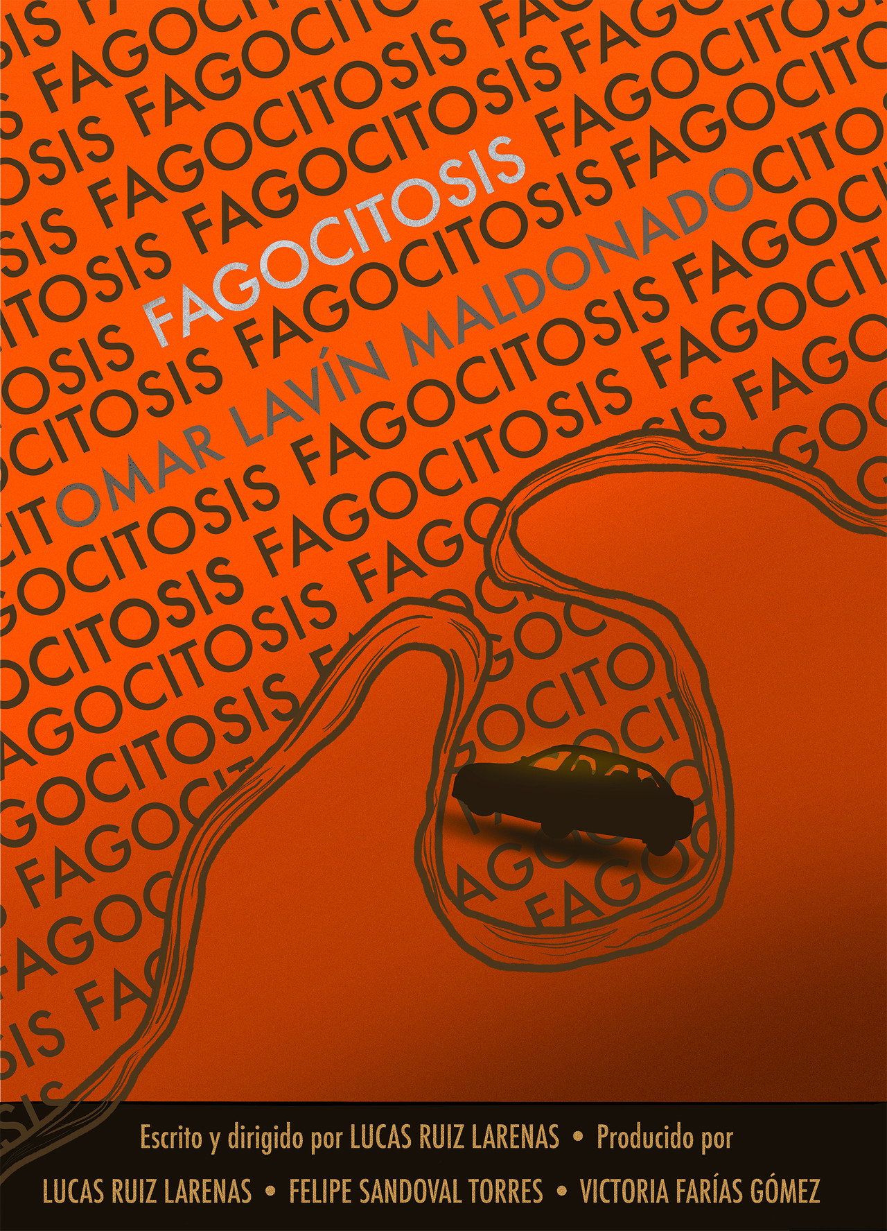 Fagocitosis poster