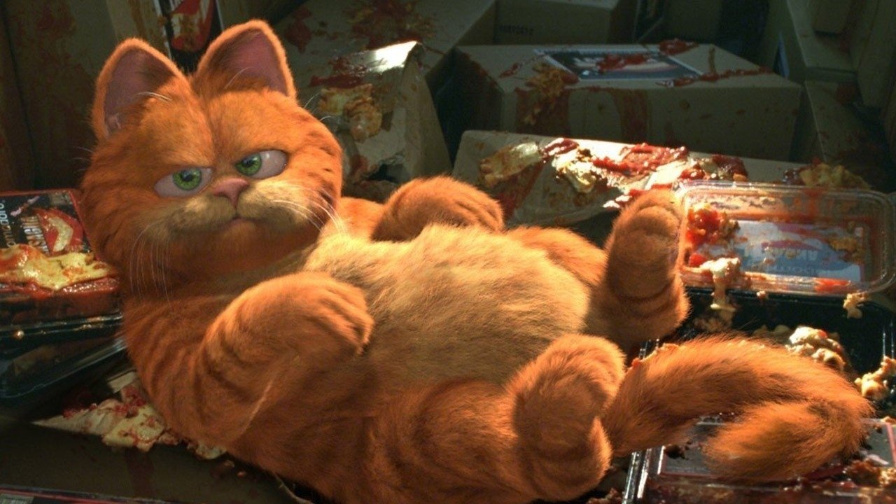 Garfield Collection Online Streaming Guide The Streamable