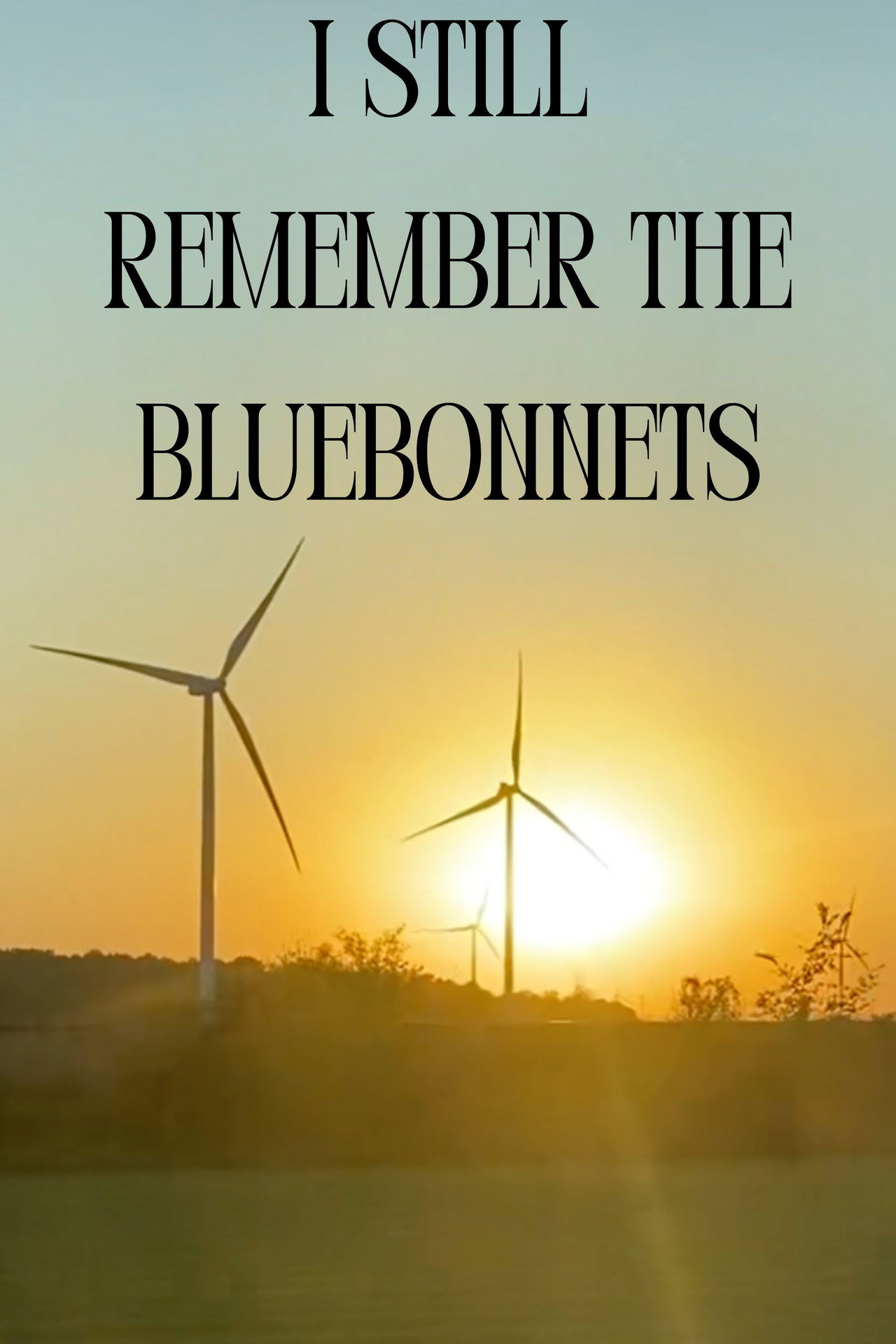 I Still Remember The Bluebonnets