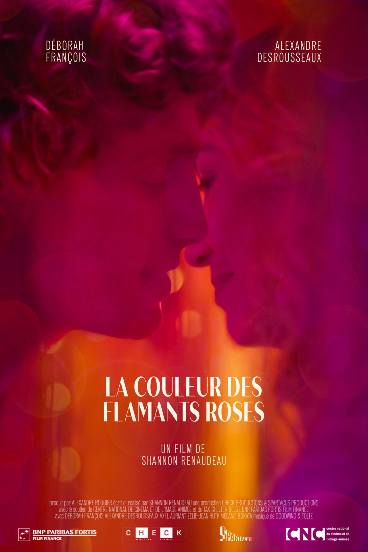 La couleur des flamants roses filmaffisch