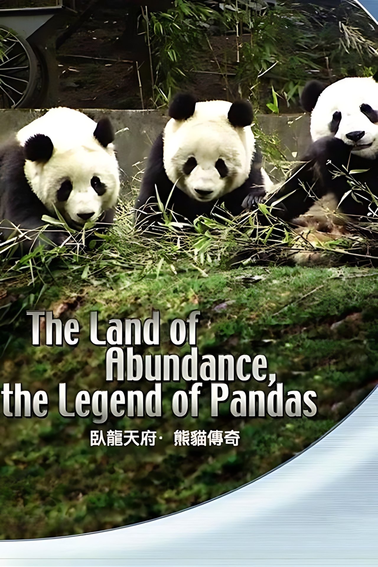 The Land Of Abundance The Legend Of Pandas