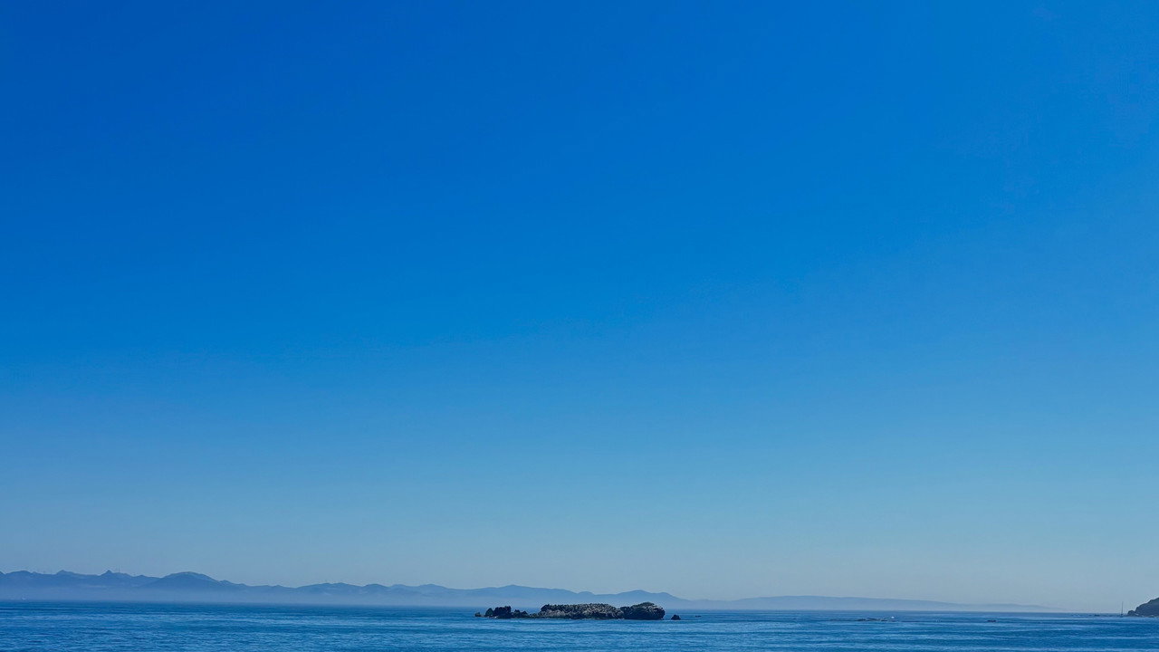 Tabardillos Jazz Punk backdrop