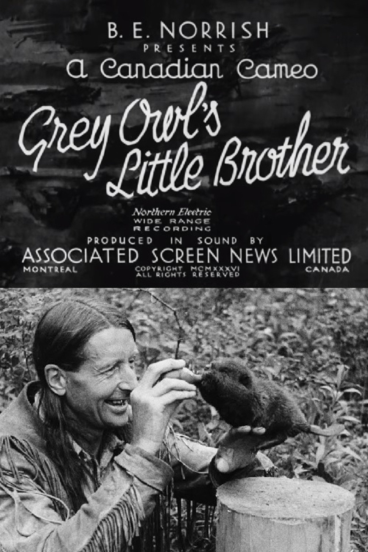 Grey Owl's Little Brother filmaffisch