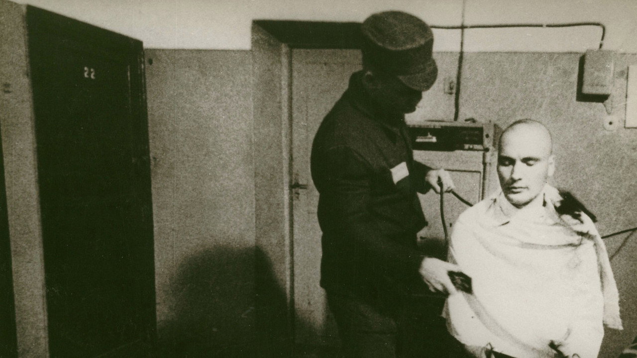The Story of Documentary Film: 1980s