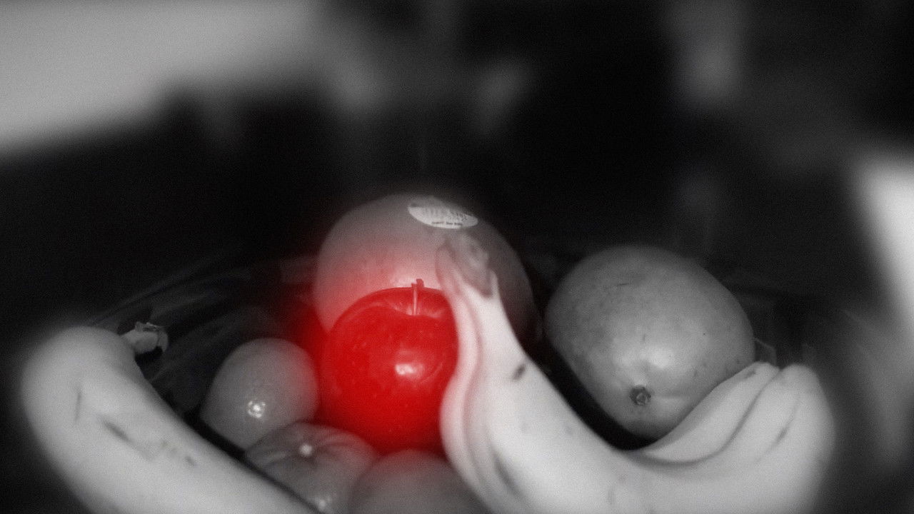 A Colourful Red Apple