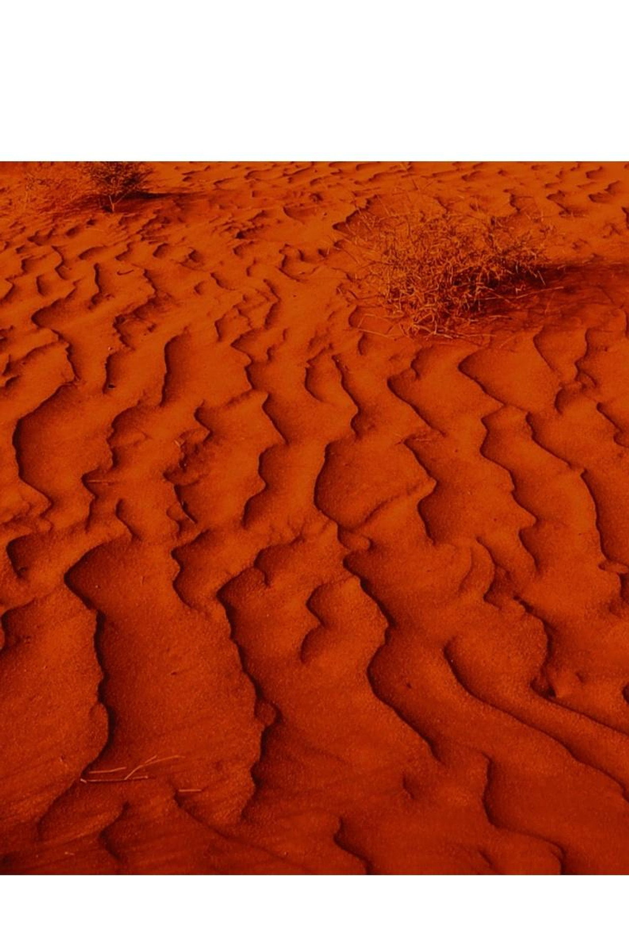 Exile & Desertification poster