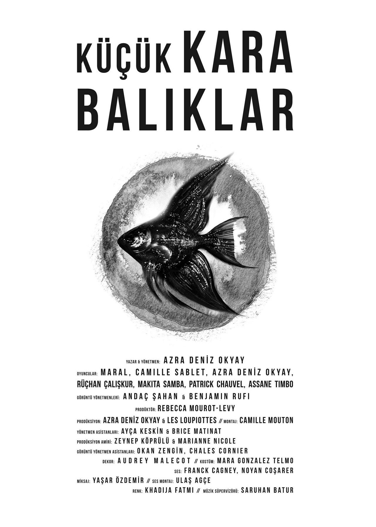 Küçük Kara Balıklar filmaffisch
