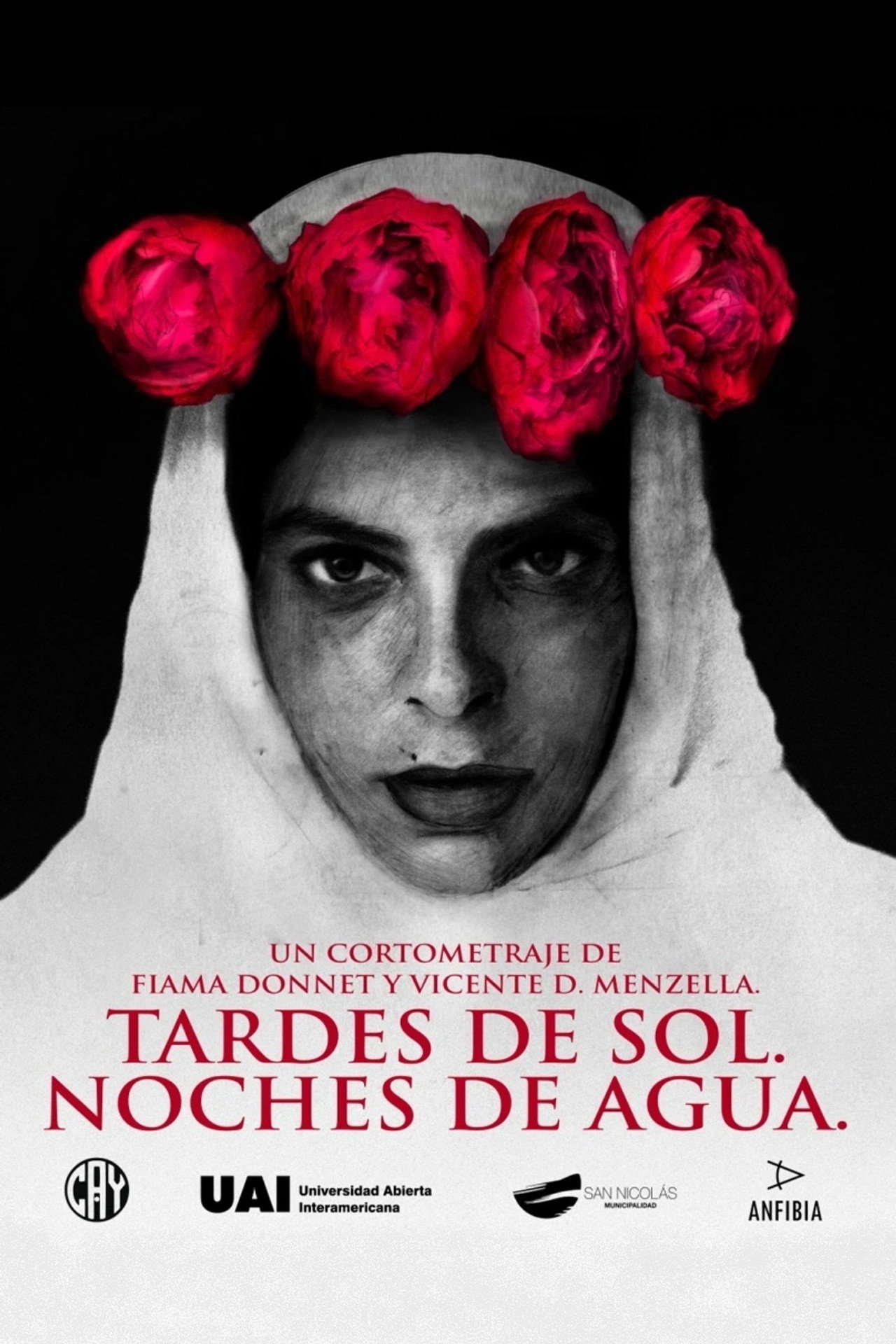 Tardes de sol. Noches de agua. filmaffisch