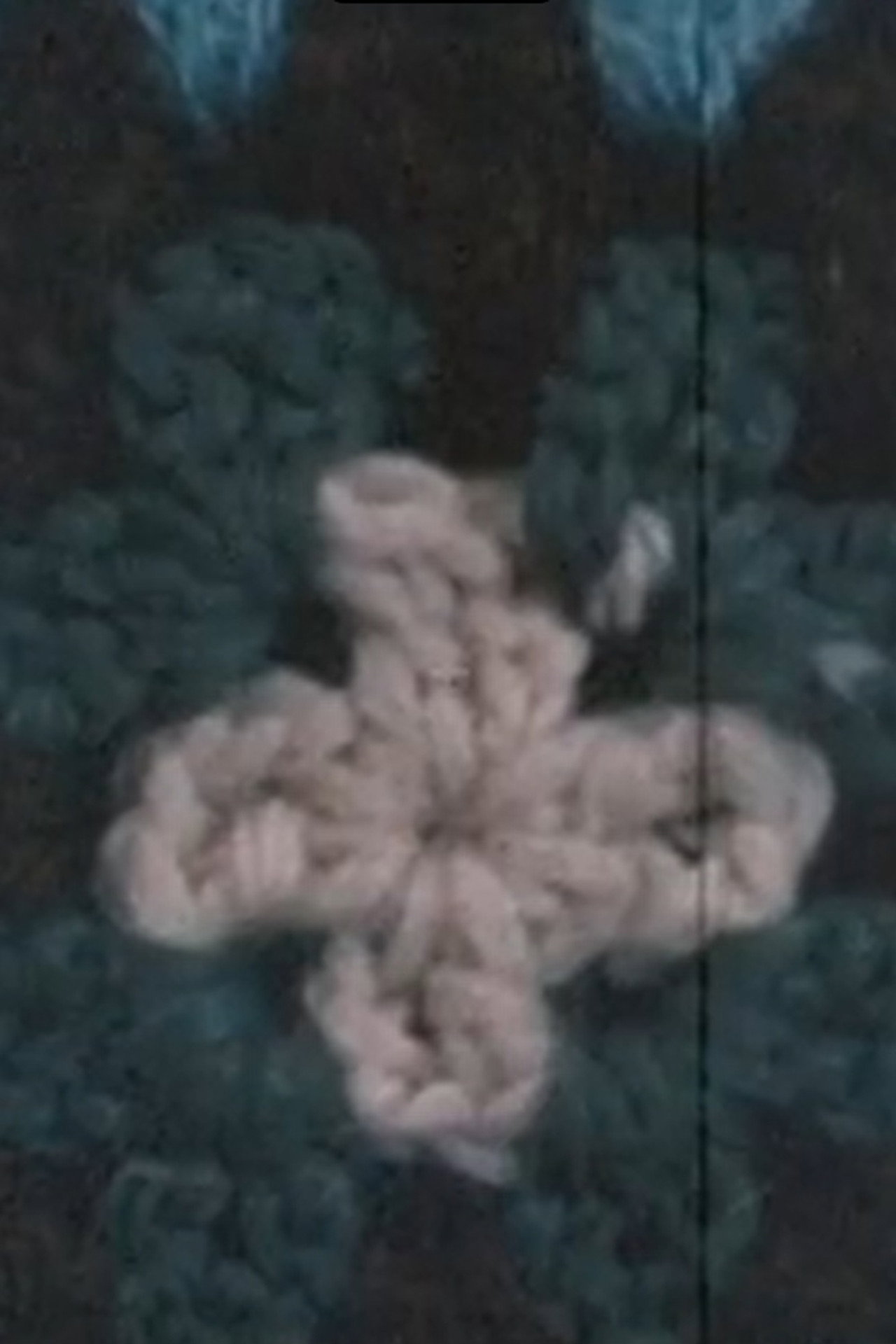 Organic Afghan