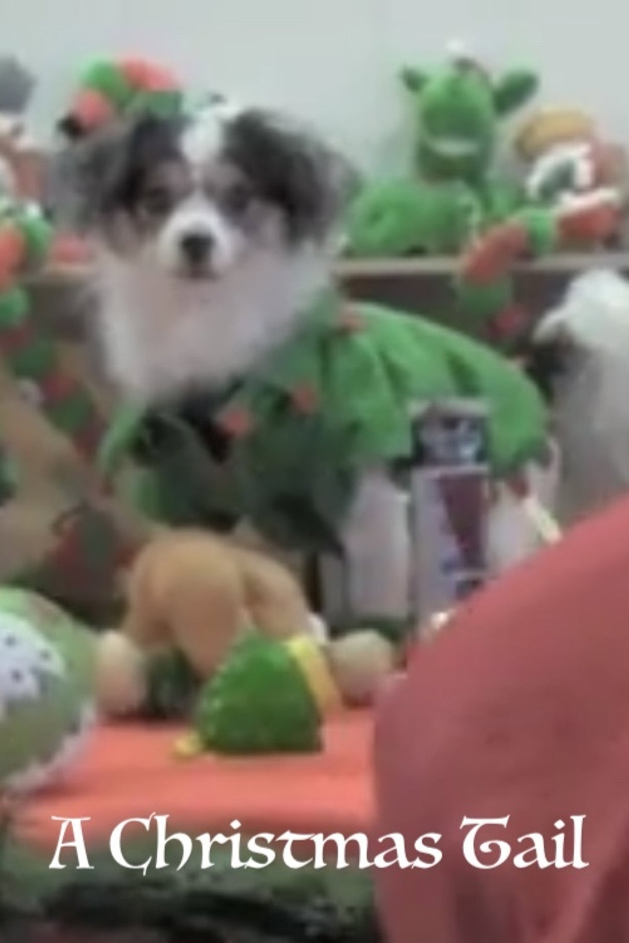 A Christmas Tail filmaffisch