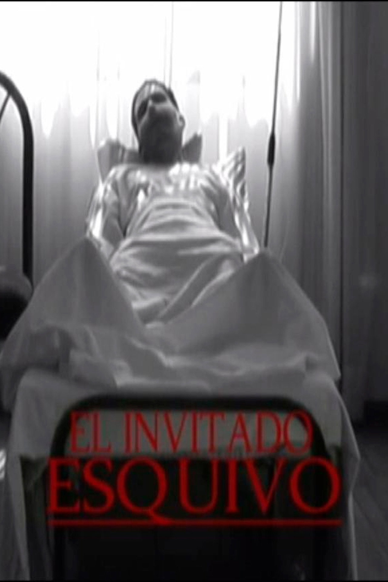 El Invitado Esquivo filmaffisch