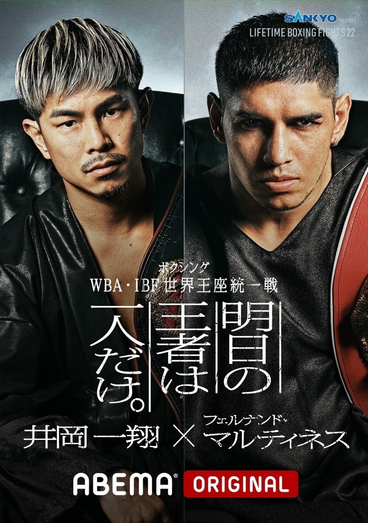LIFETIME BOXING FIGHTS 22 filmaffisch