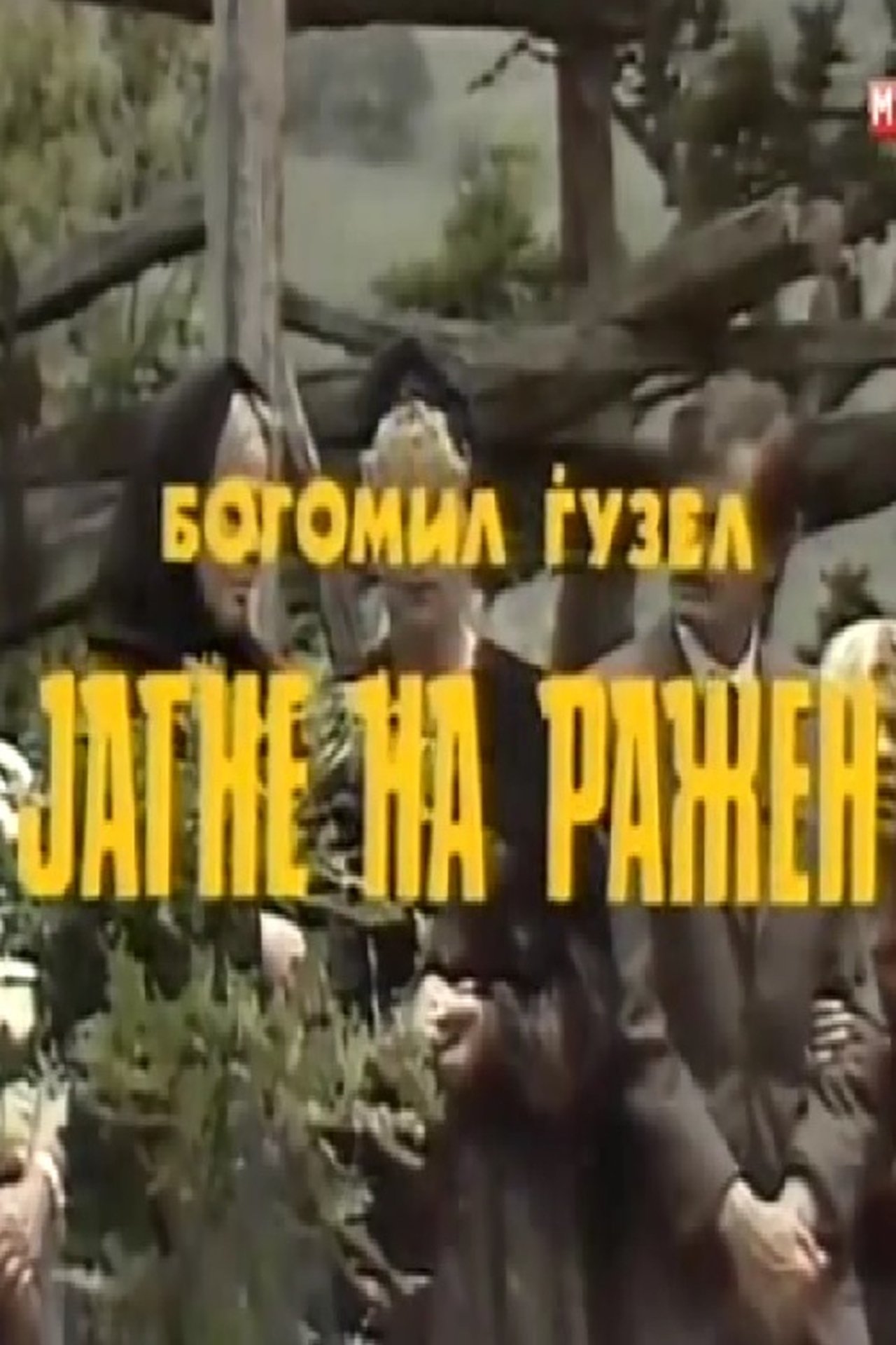 Јагне на ражен Јагне на ражен