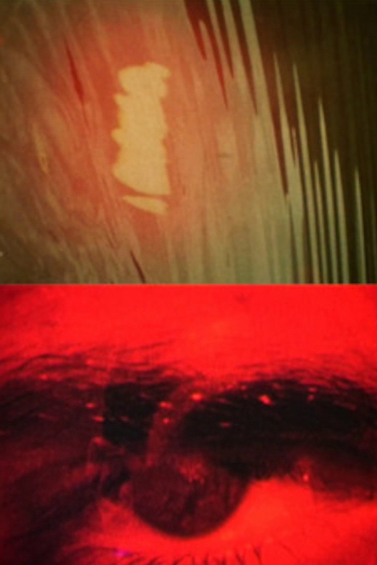 Royaume filmaffisch