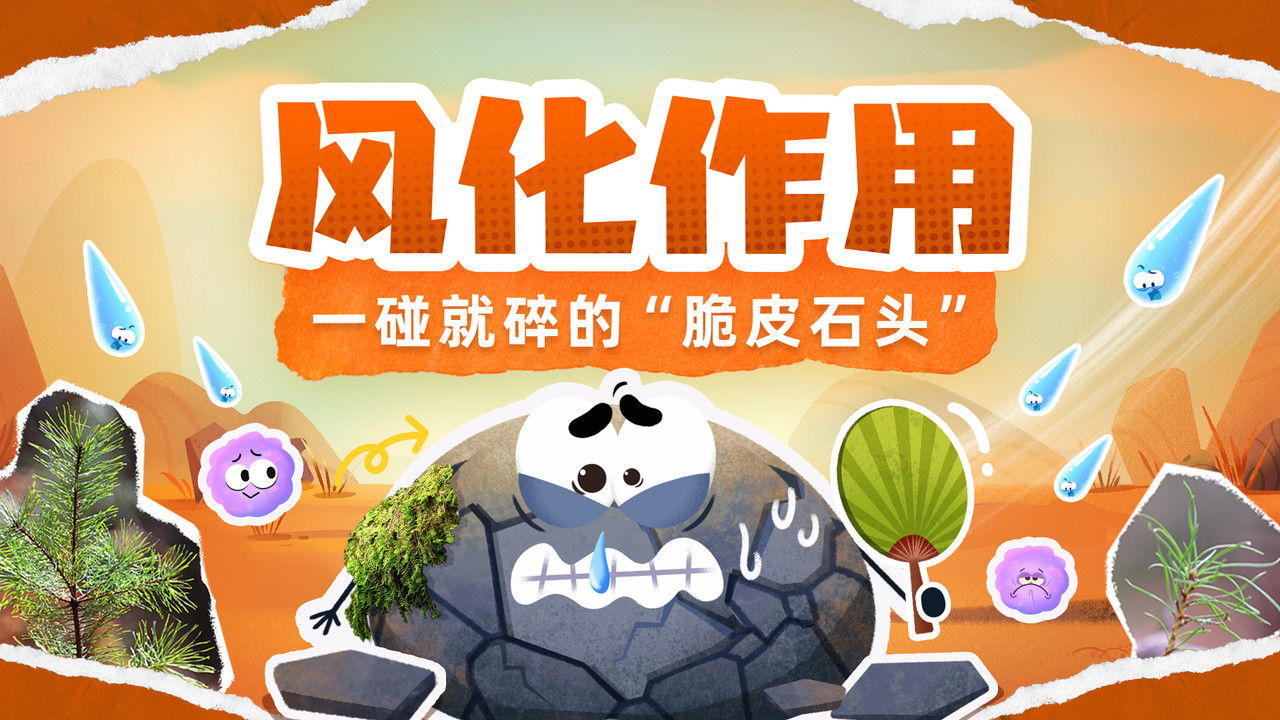 斑马百科探索 — Épisode 18