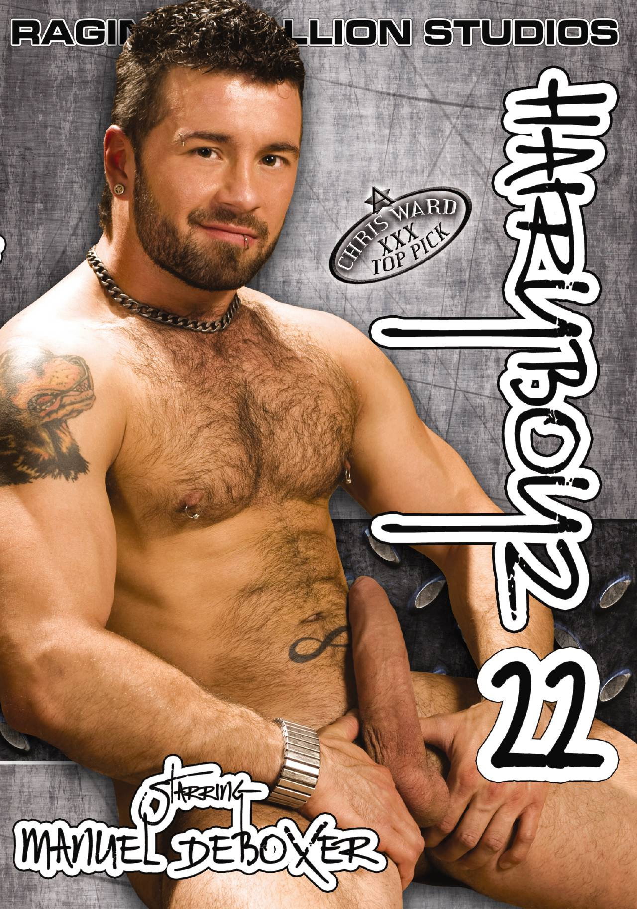 Hairy Boyz 22 filmaffisch