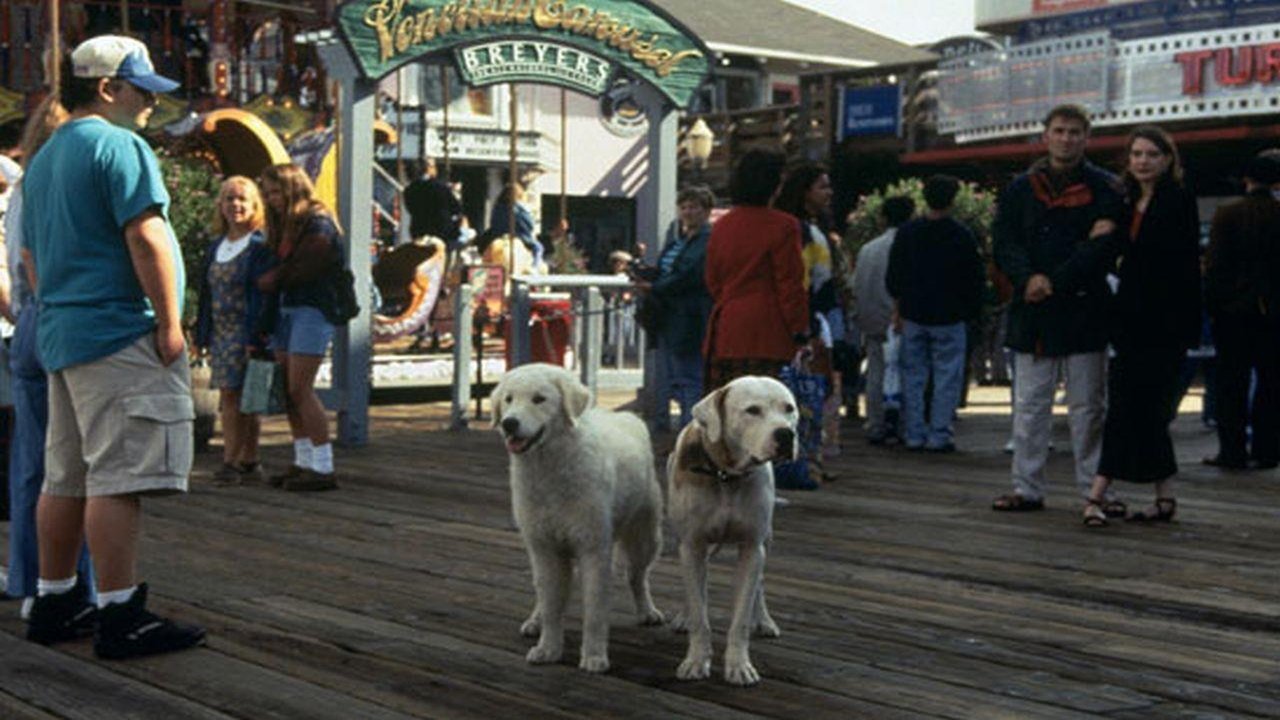 Homeward Bound II: Lost in San Francisco (1996)