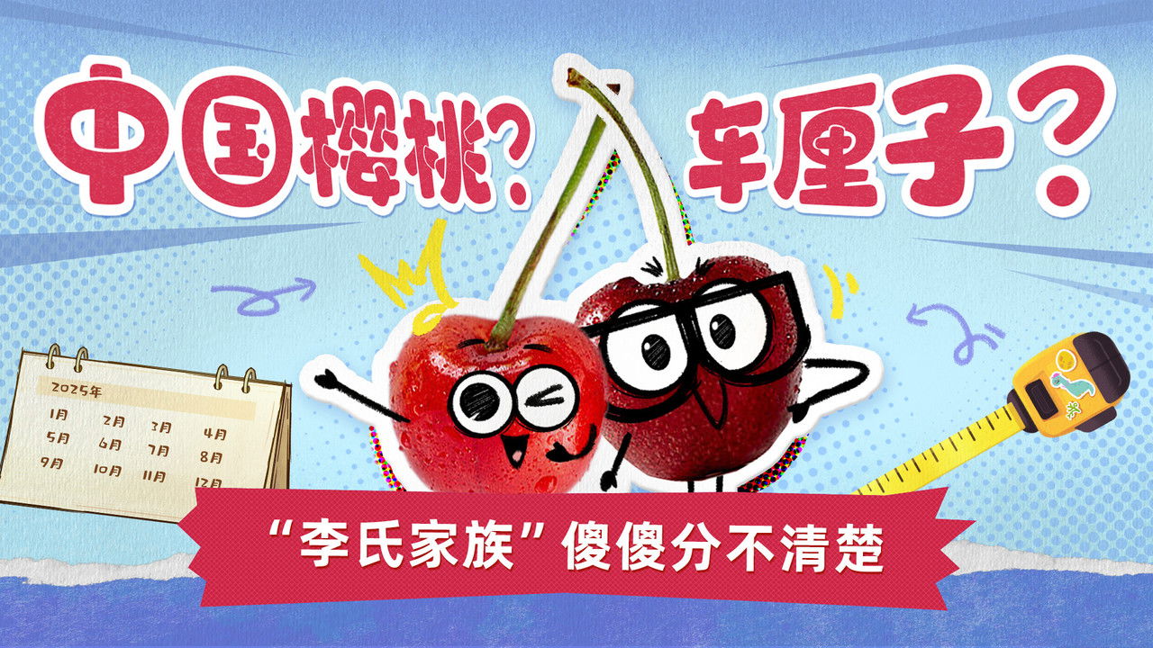 斑马百科探索 — Épisode 3