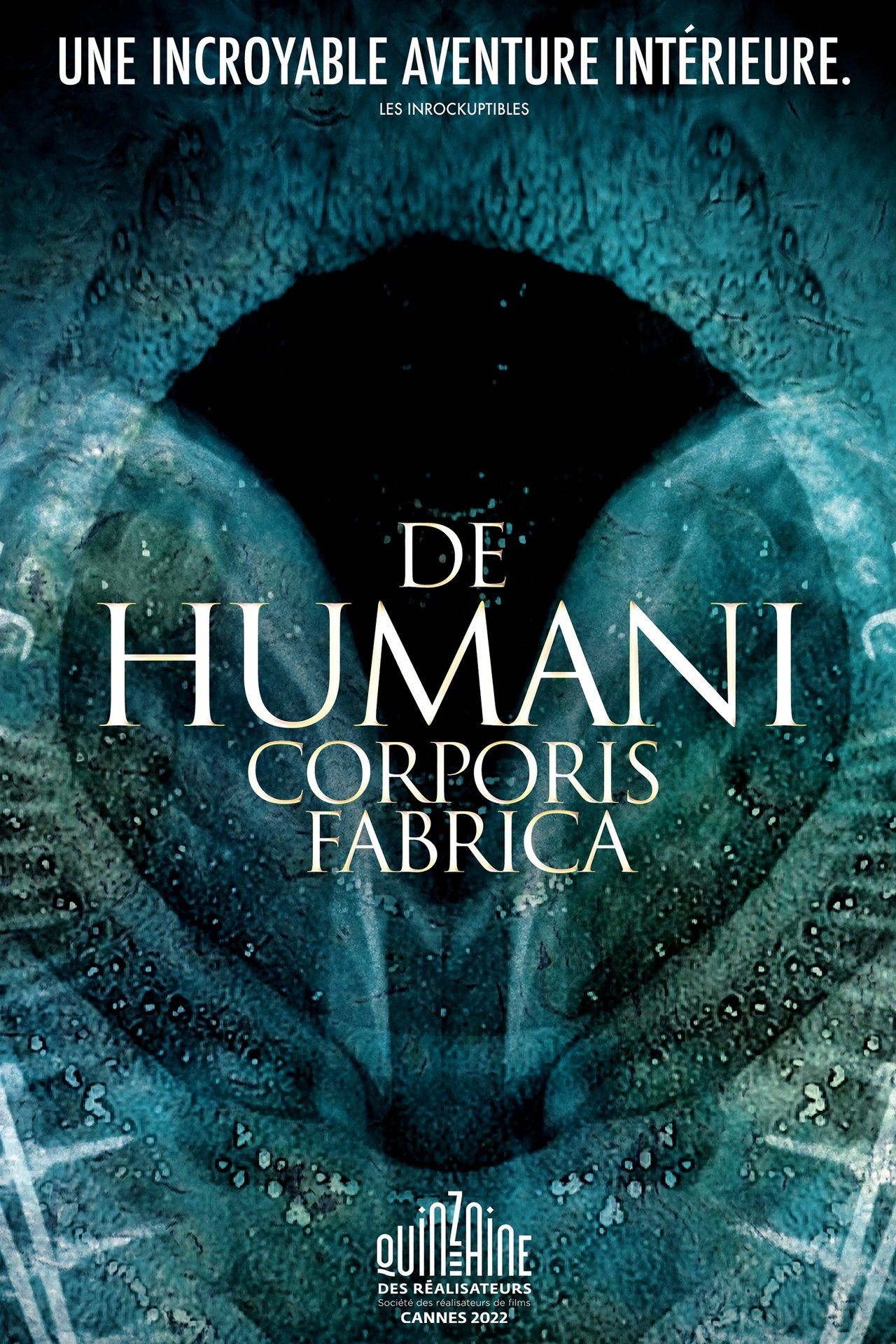 De humani corporis fabrica poster