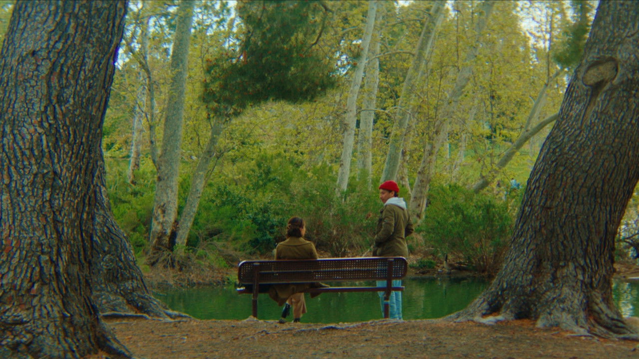 The Man With The Cardboard Box