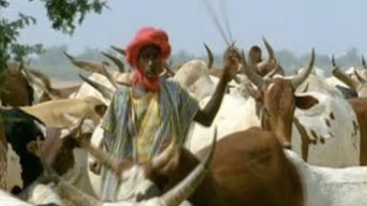 Nature - Season 20 Episode 5 : Africa: Love in the Sahel